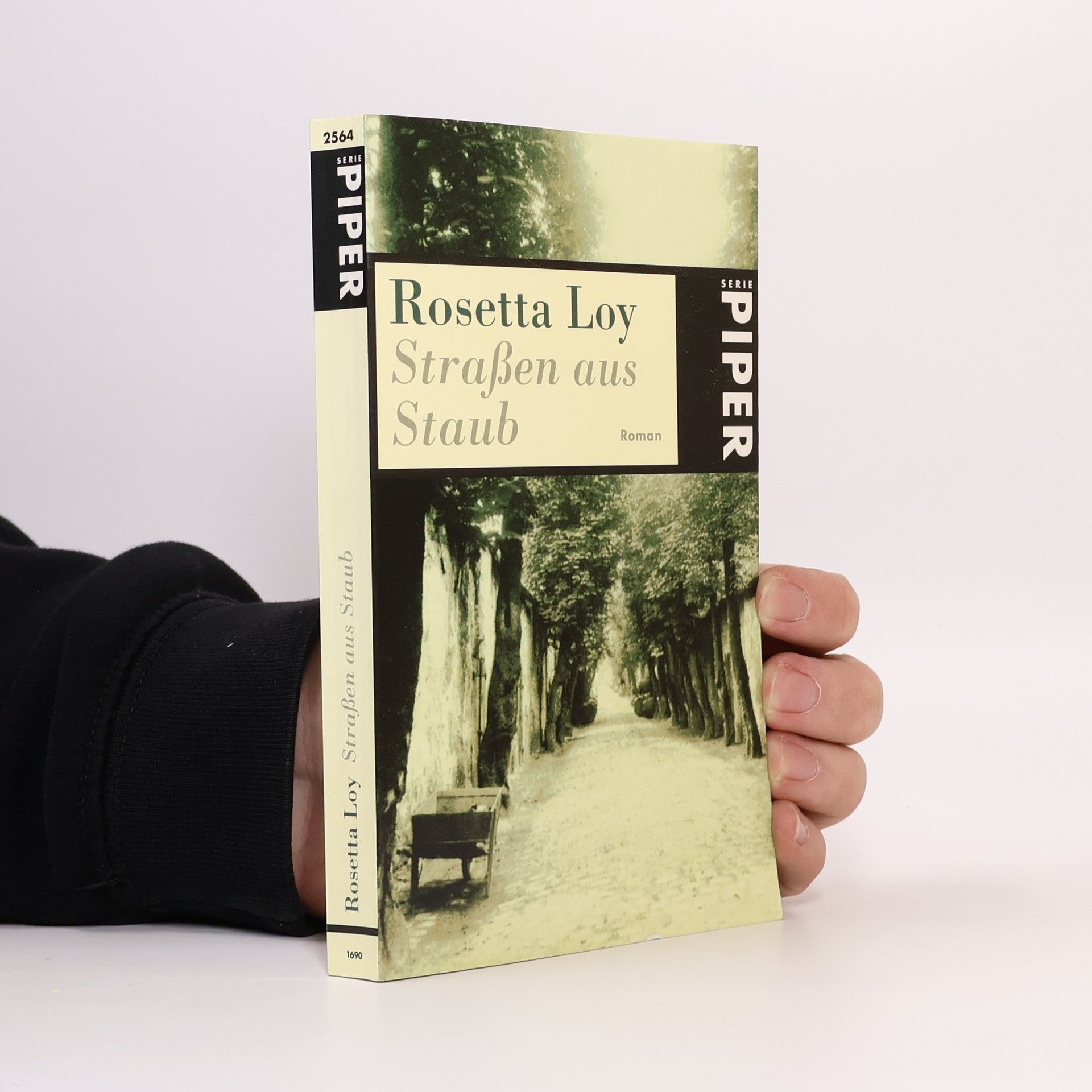 Rosetta Loy Straßen aus Staub