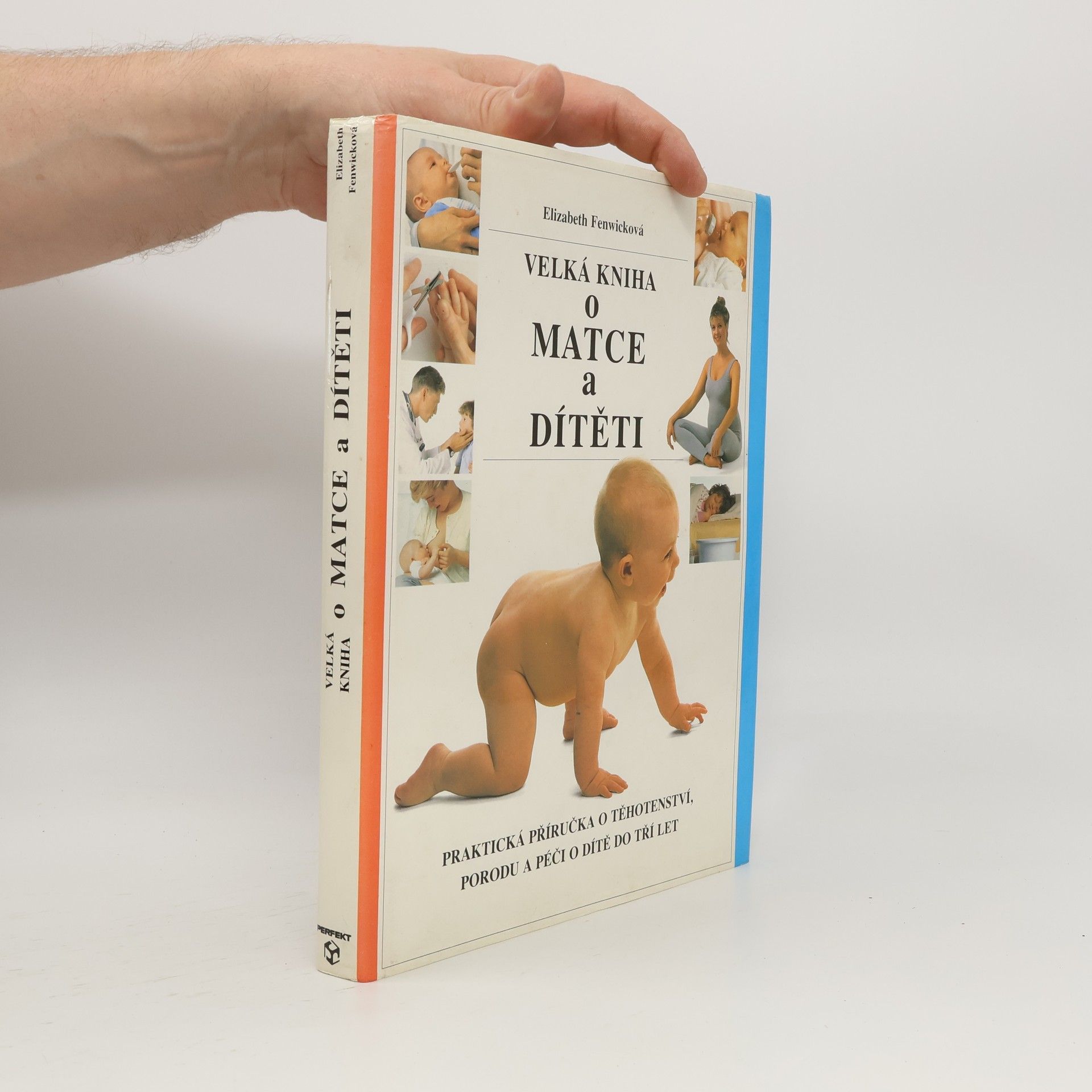 Elizabeth Fenwick Velká kniha o matce a dítěti