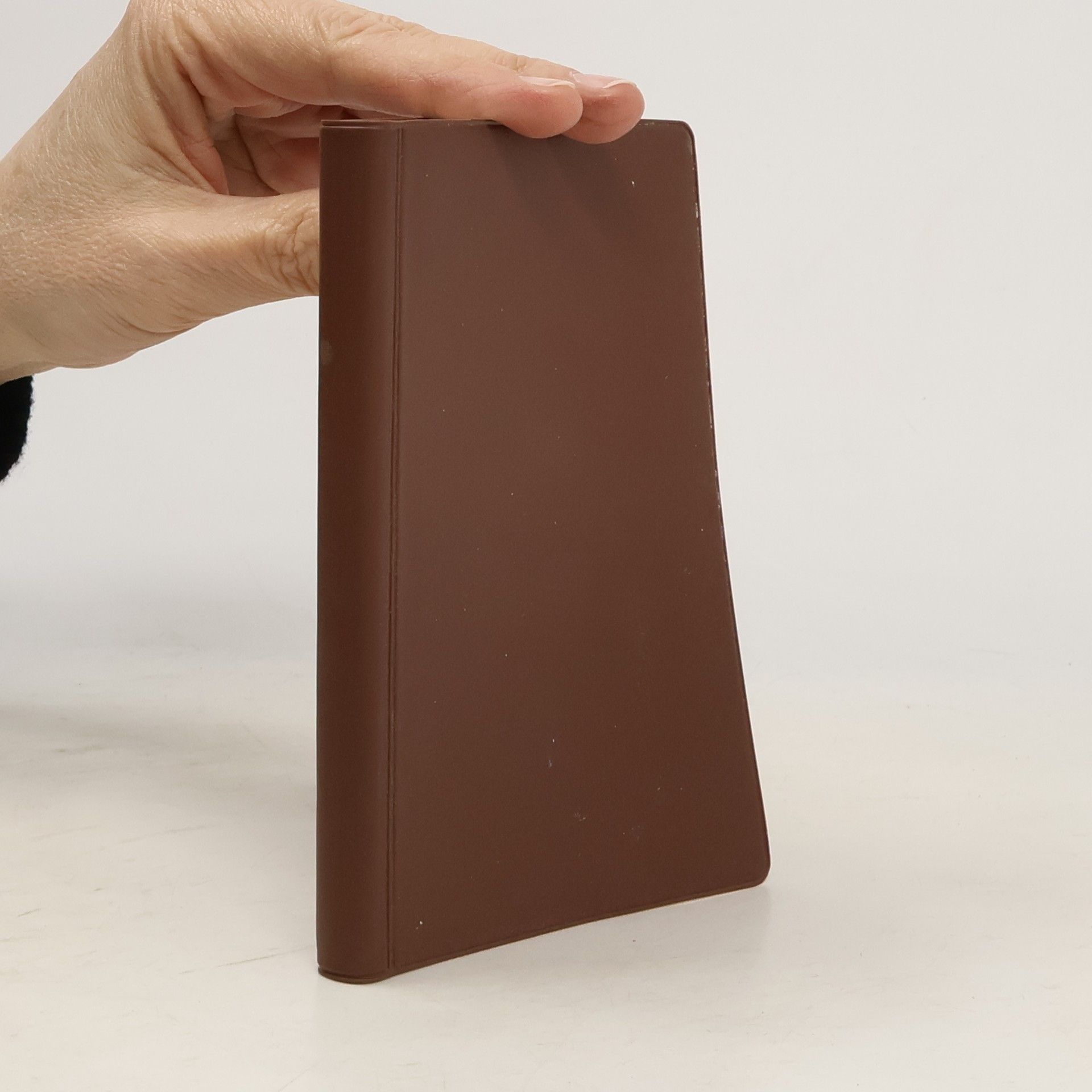 Pereira Alfonso Myšlenky a modlitby