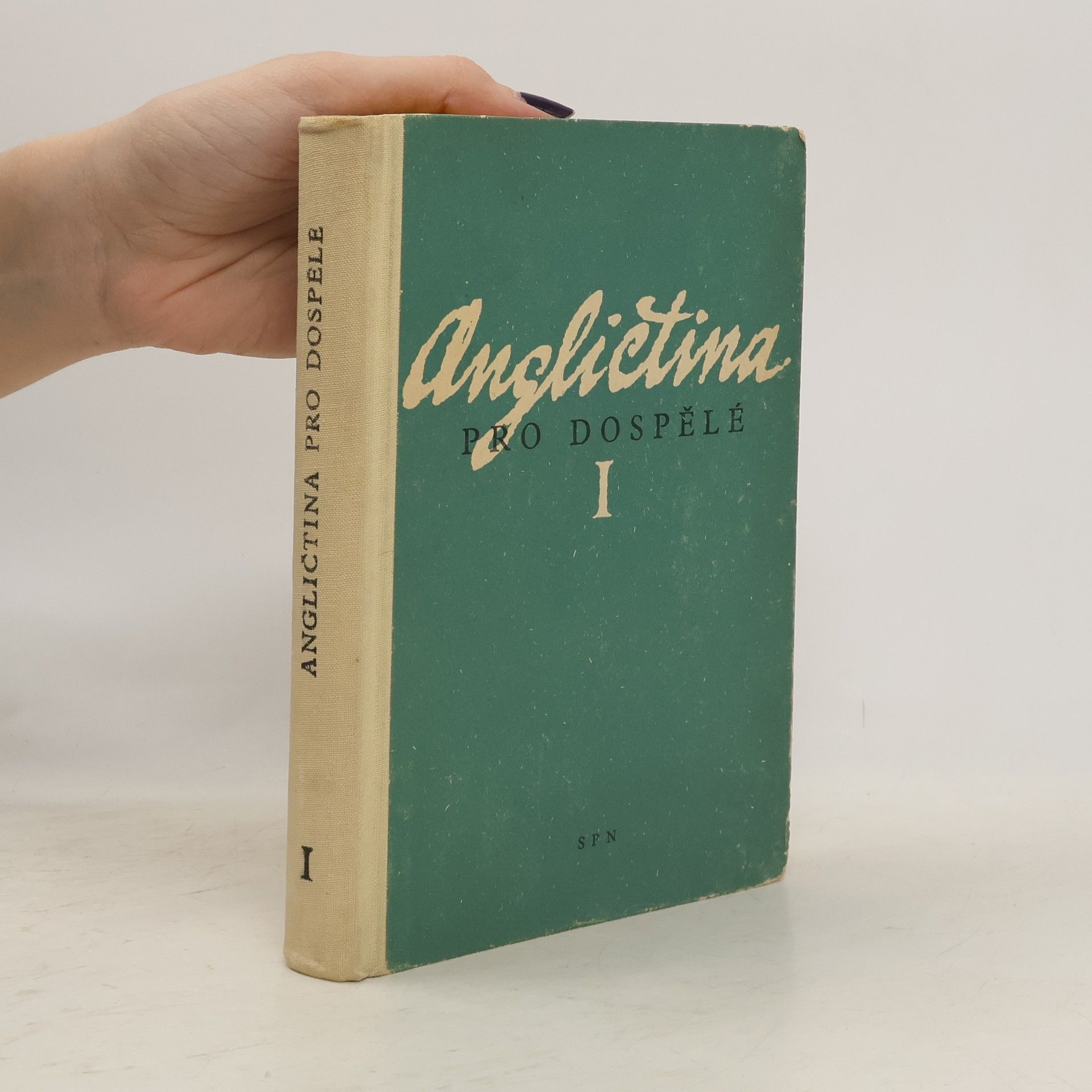 Angličtina pro dospělé I