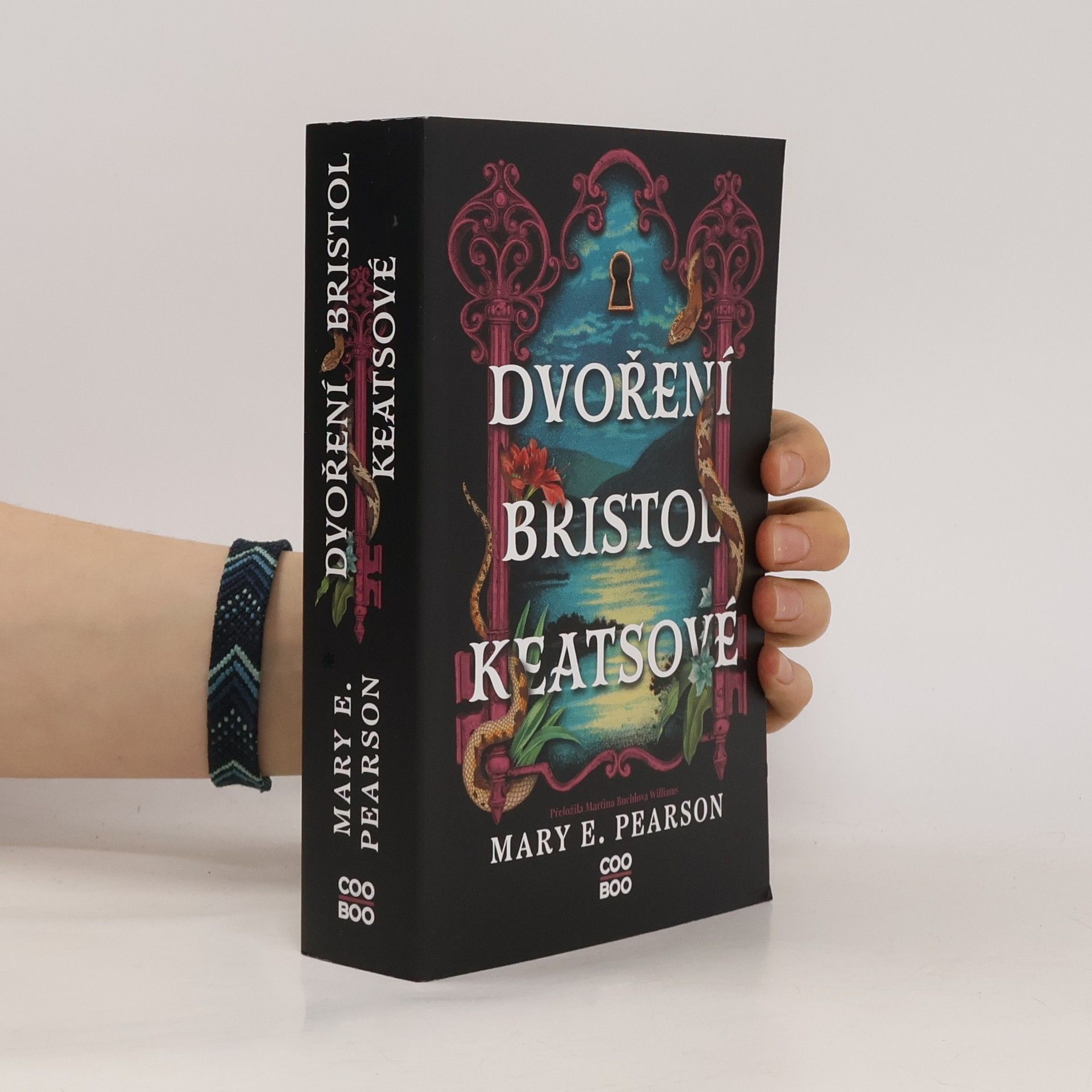 Mary E. Pearson Dvoření Bristol Keatsové