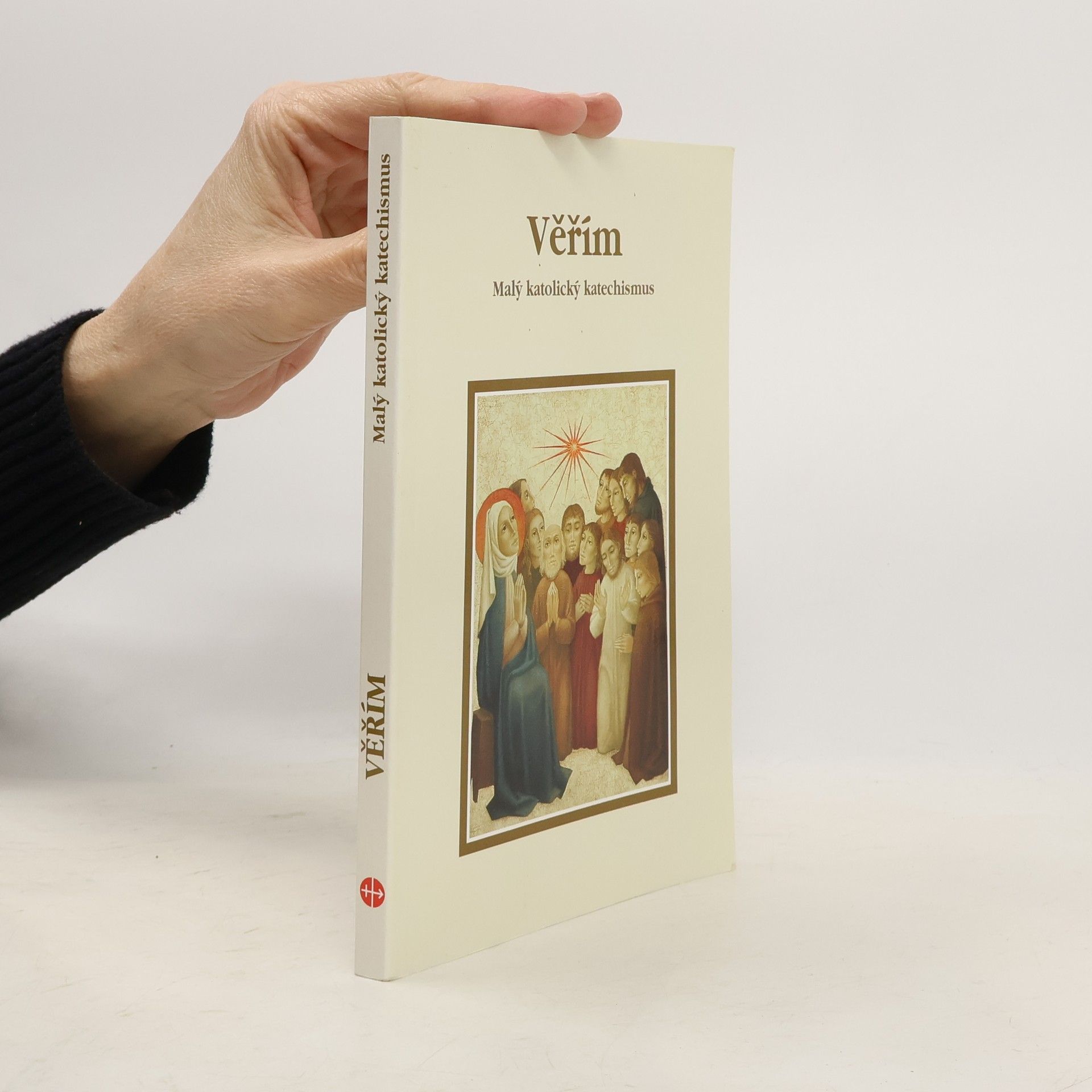 Kolektiv autorů Verím. Malý katolícky katechizmus
