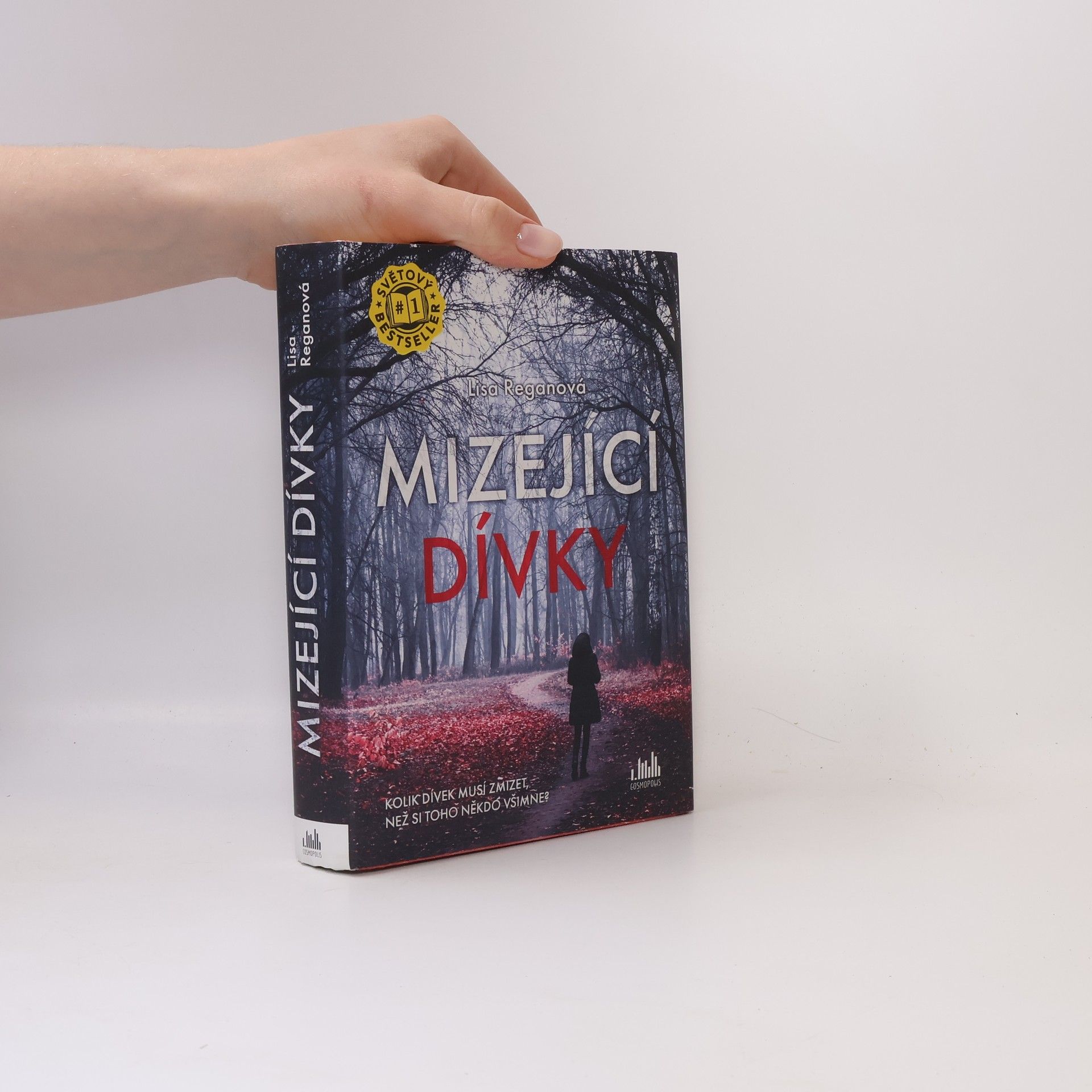 Lisa Regan Mizející dívky