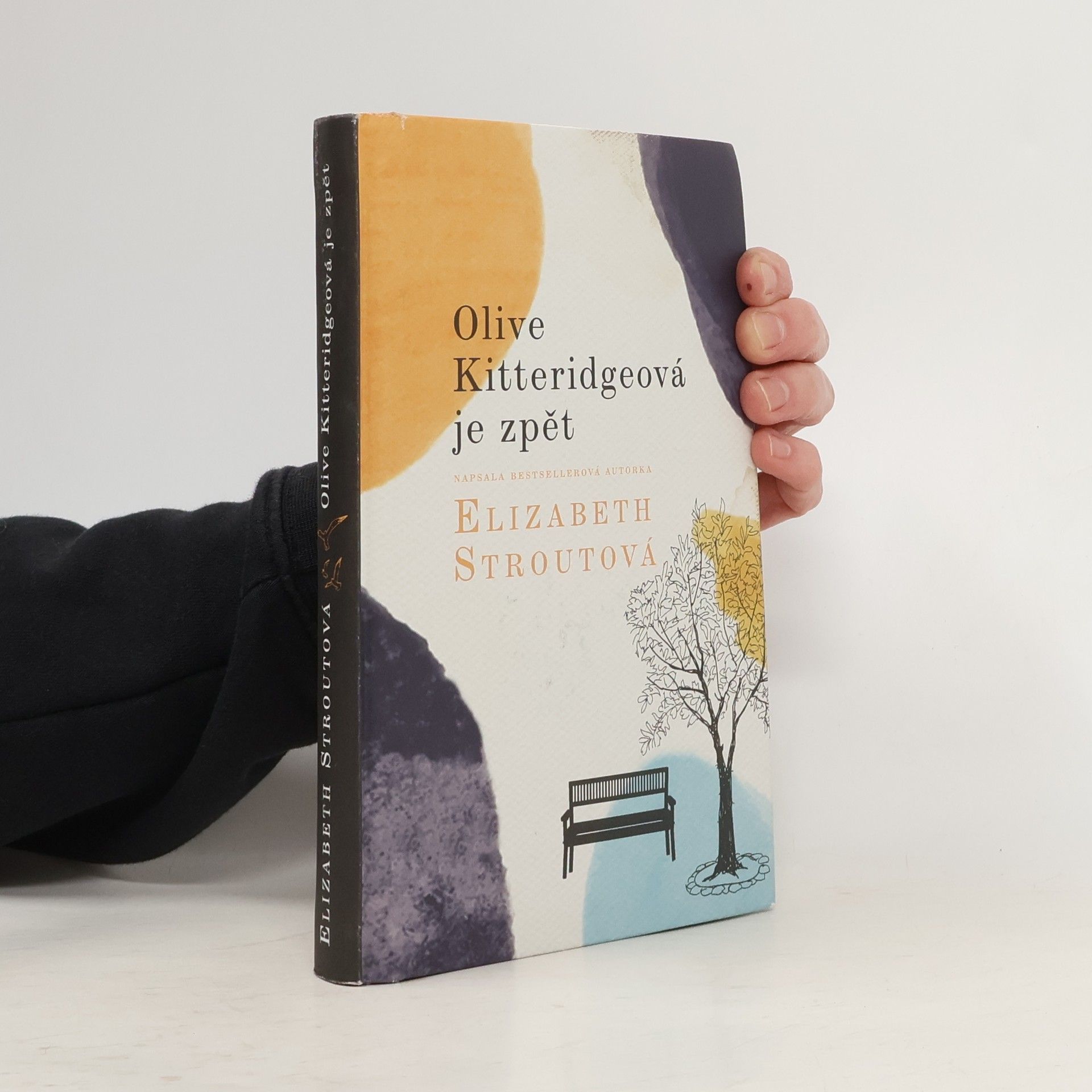 Olive Kitteridgeová je zpět