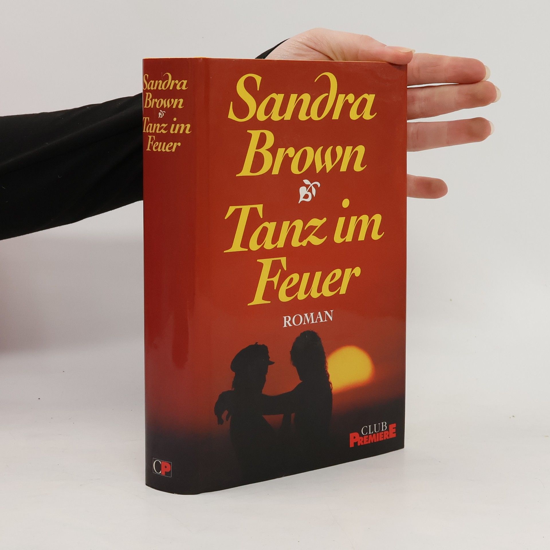 Sandra Brown Tanz im Feuer