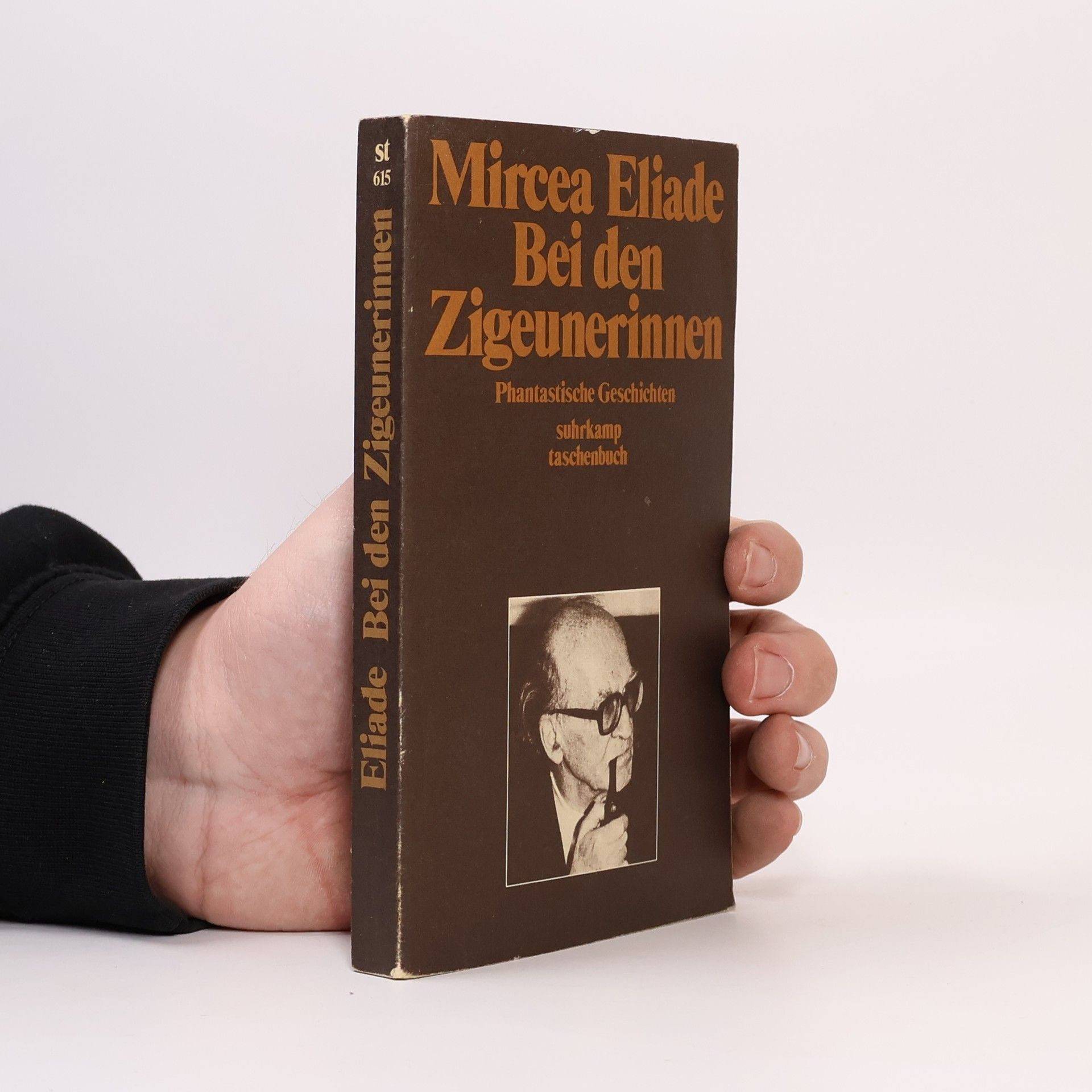 Mircea Eliade Bei den Zigeunerinnen