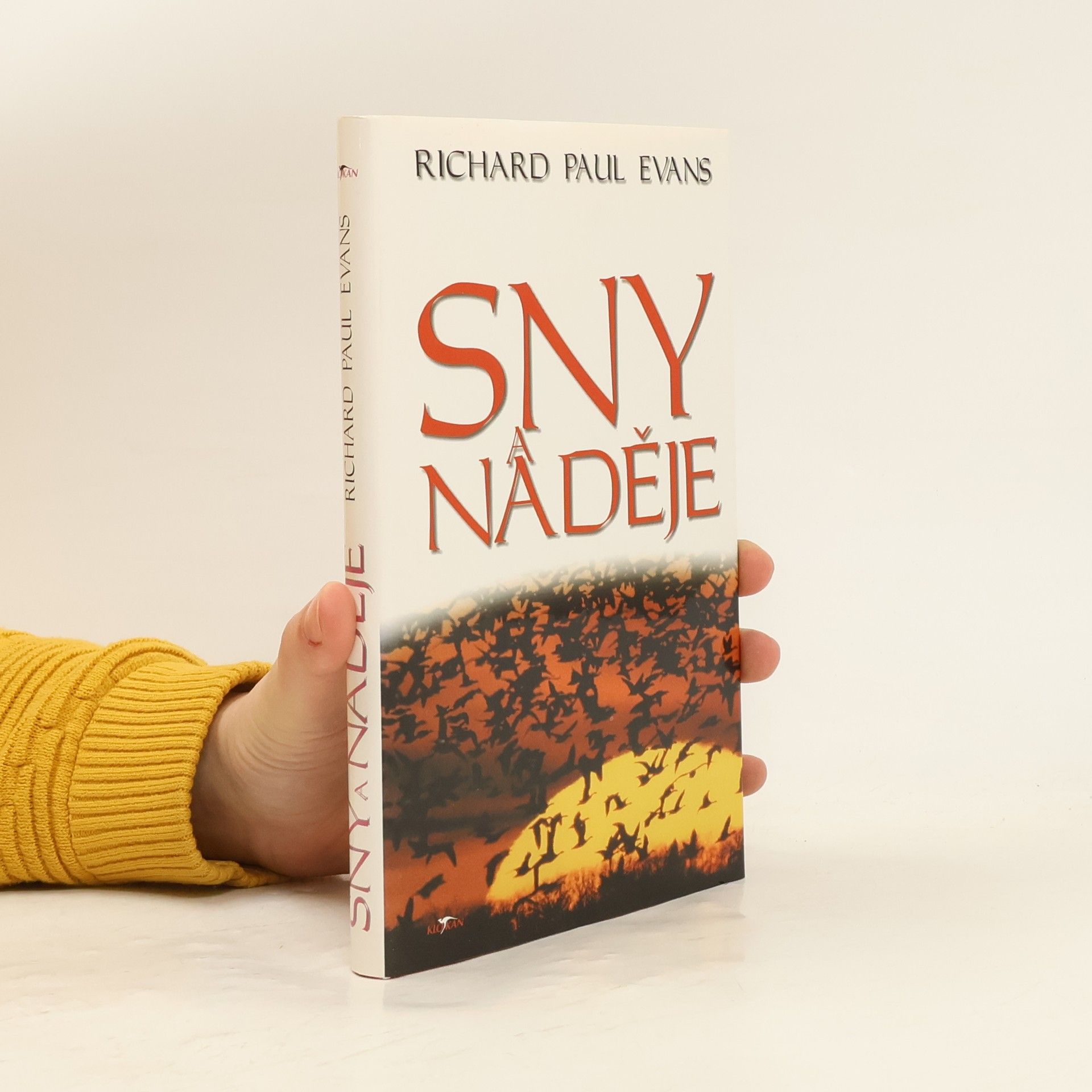 Richard Paul Evans Sny a naděje