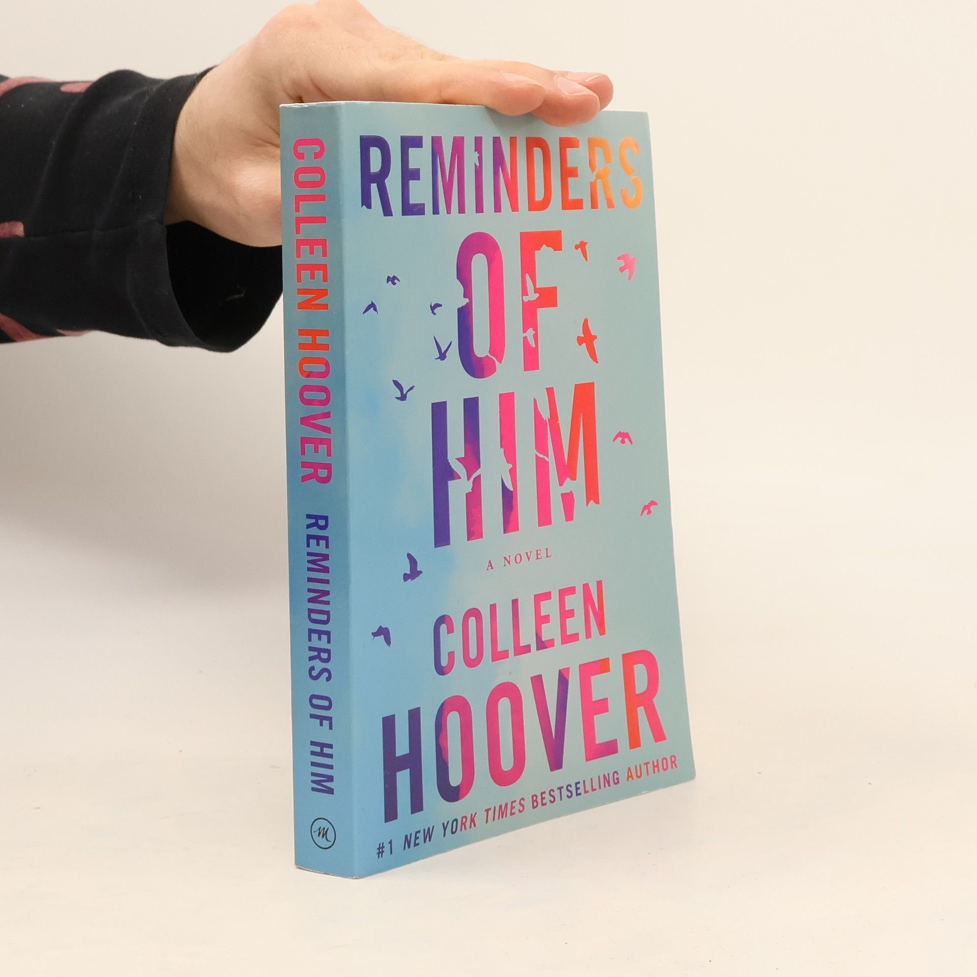 Colleen Hoover Reminders of him