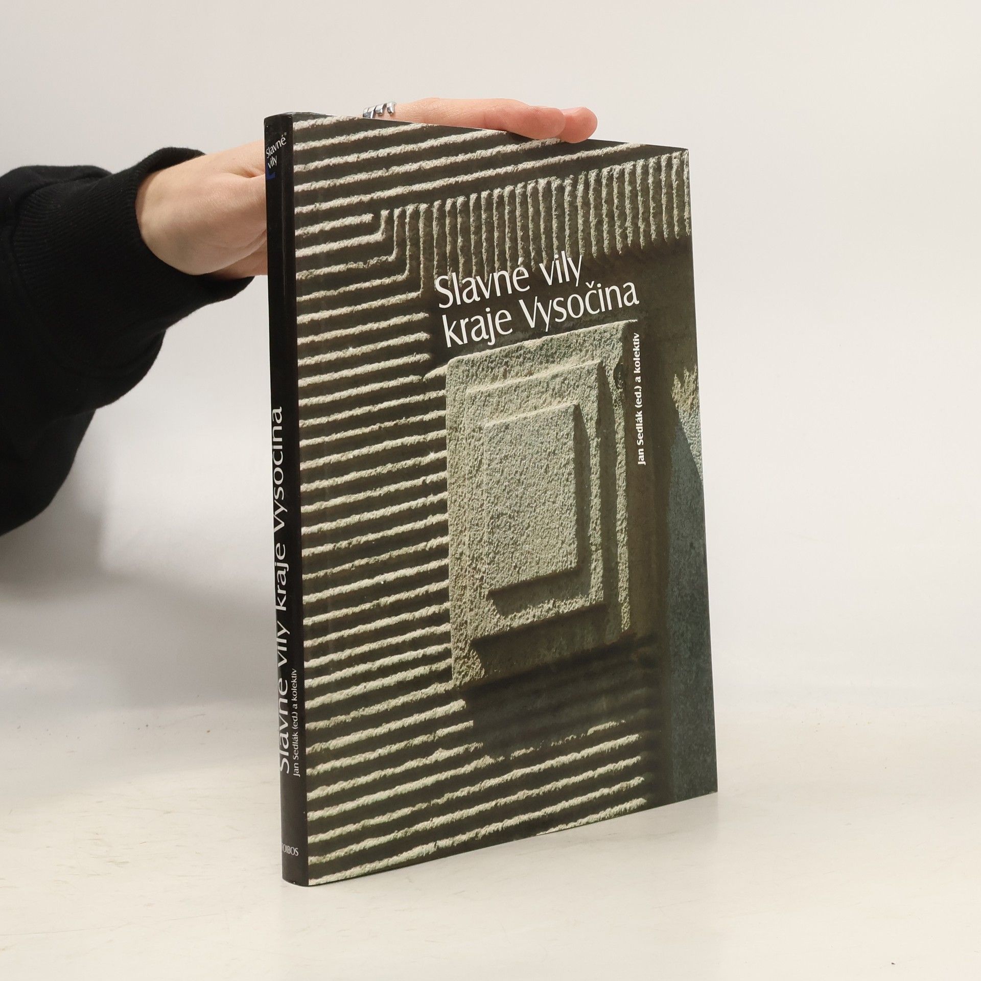 Petr Kratochvíl Slavné vily kraje Vysočina