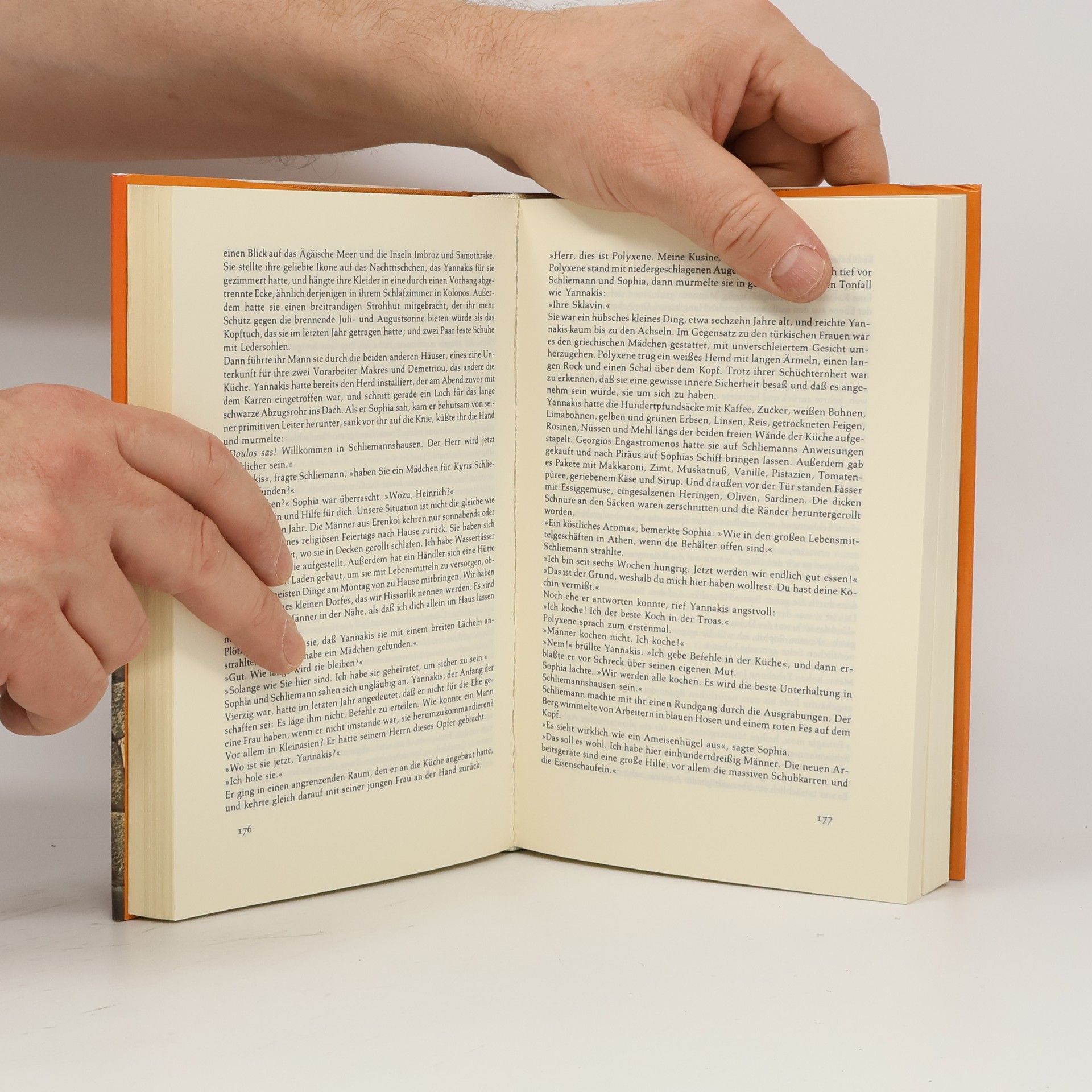 Irving Stone Der griechische Schatz