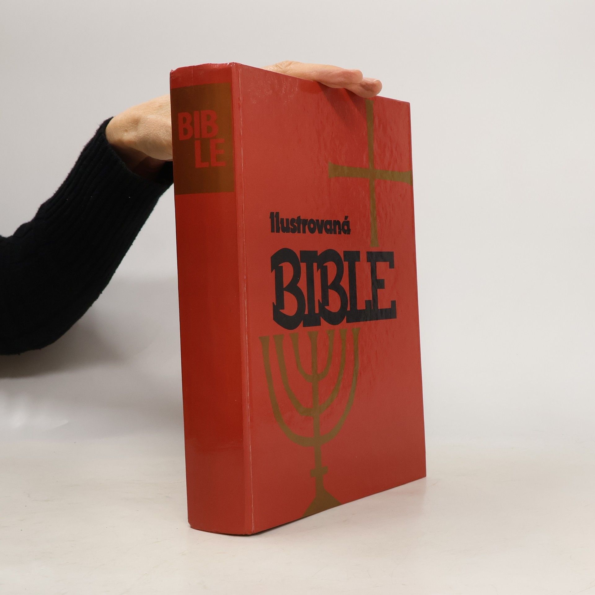 Kolektiv autorů Ilustrovaná Bible