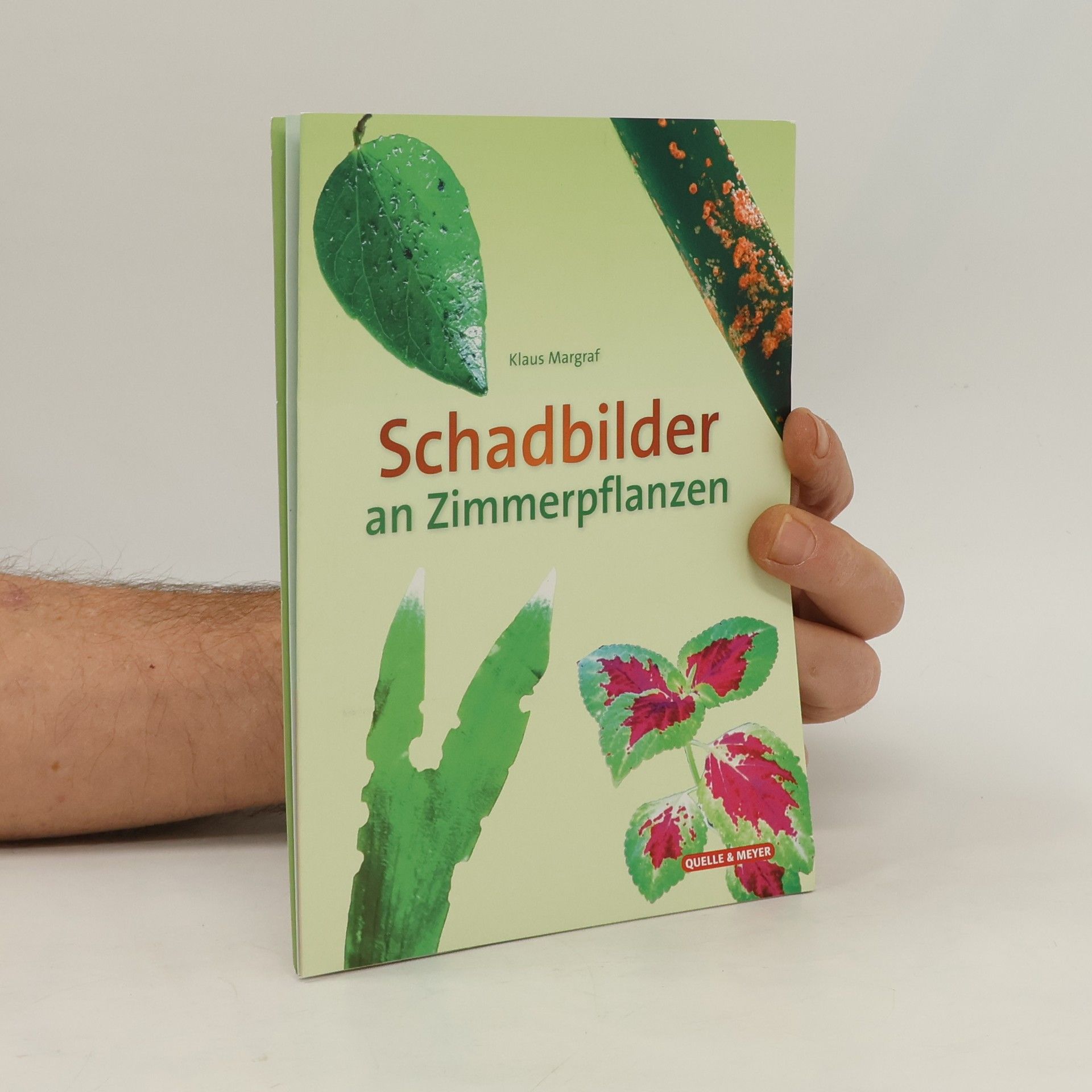 Schadbilder an Zimmerpflanzen