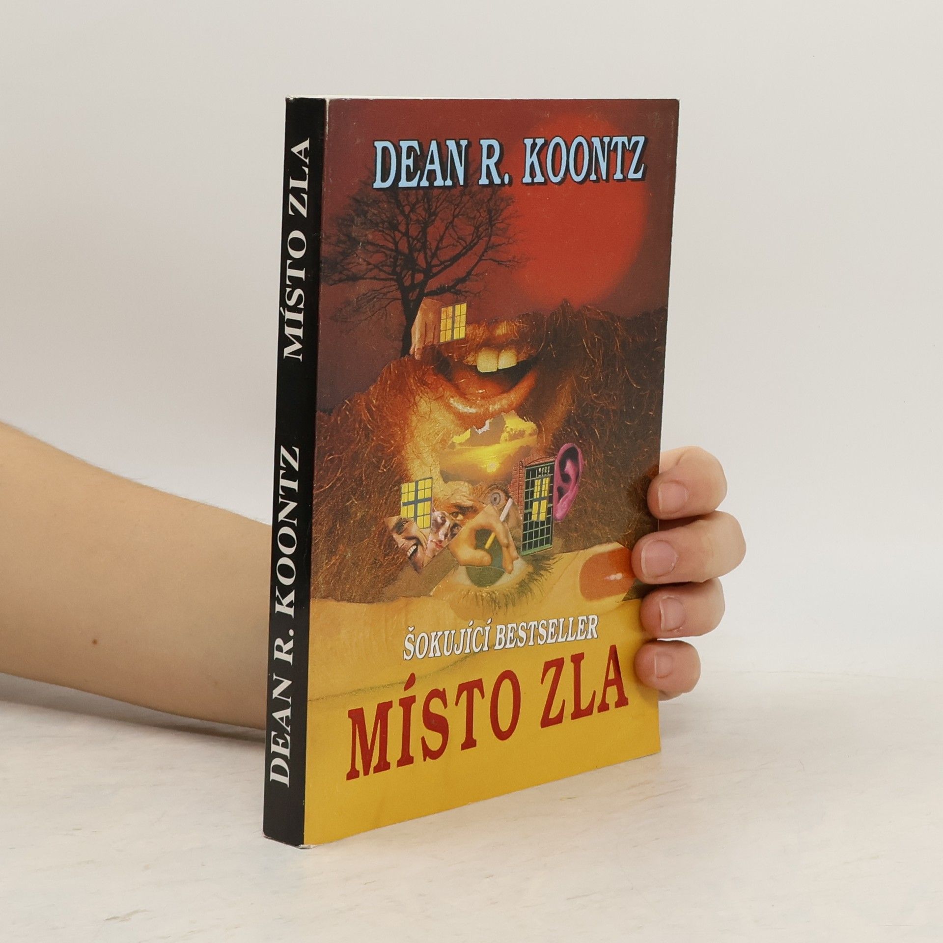 Dean R. Koontz Místo zla