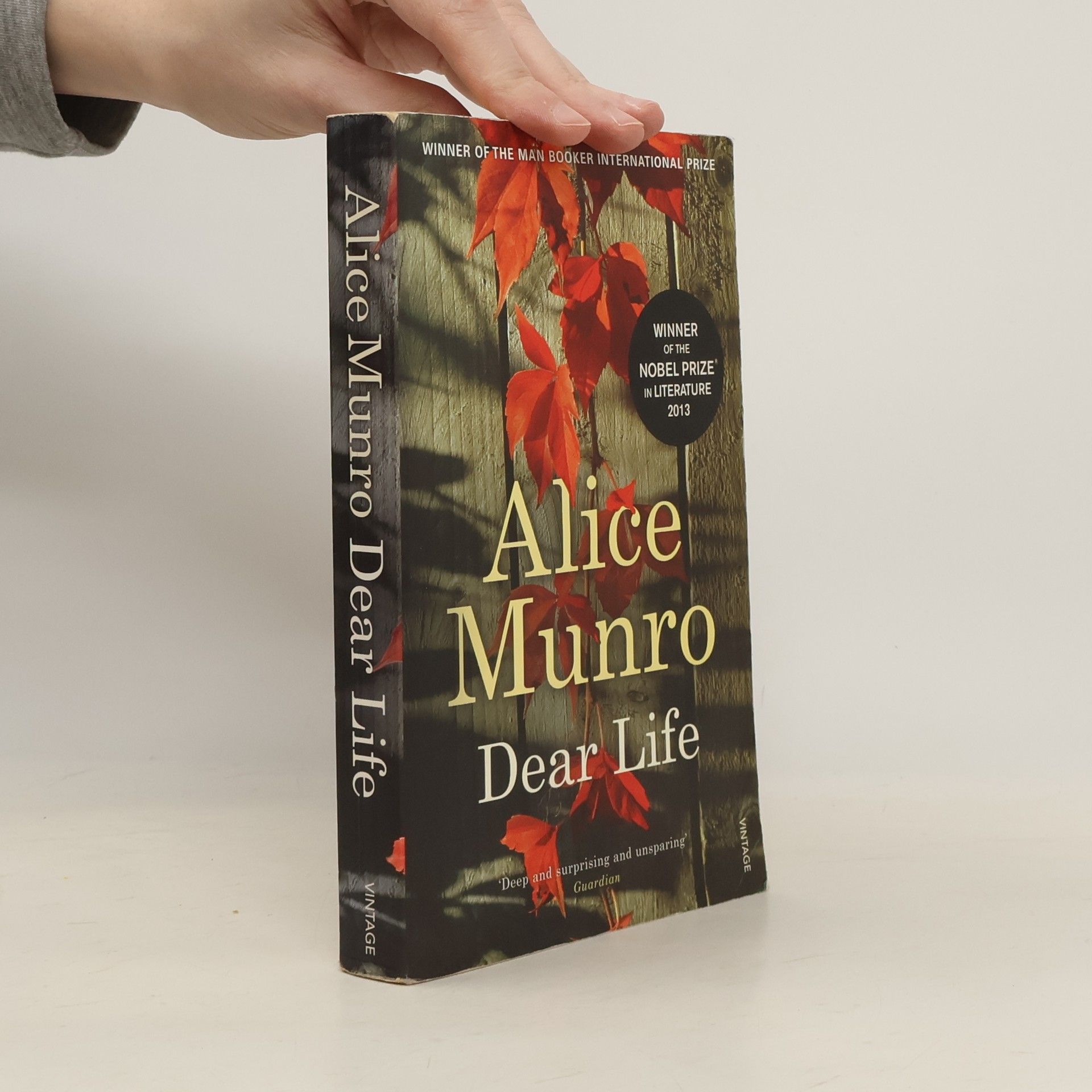 Alice Munro Dear Life. Liebes Leben, englische Ausgabe