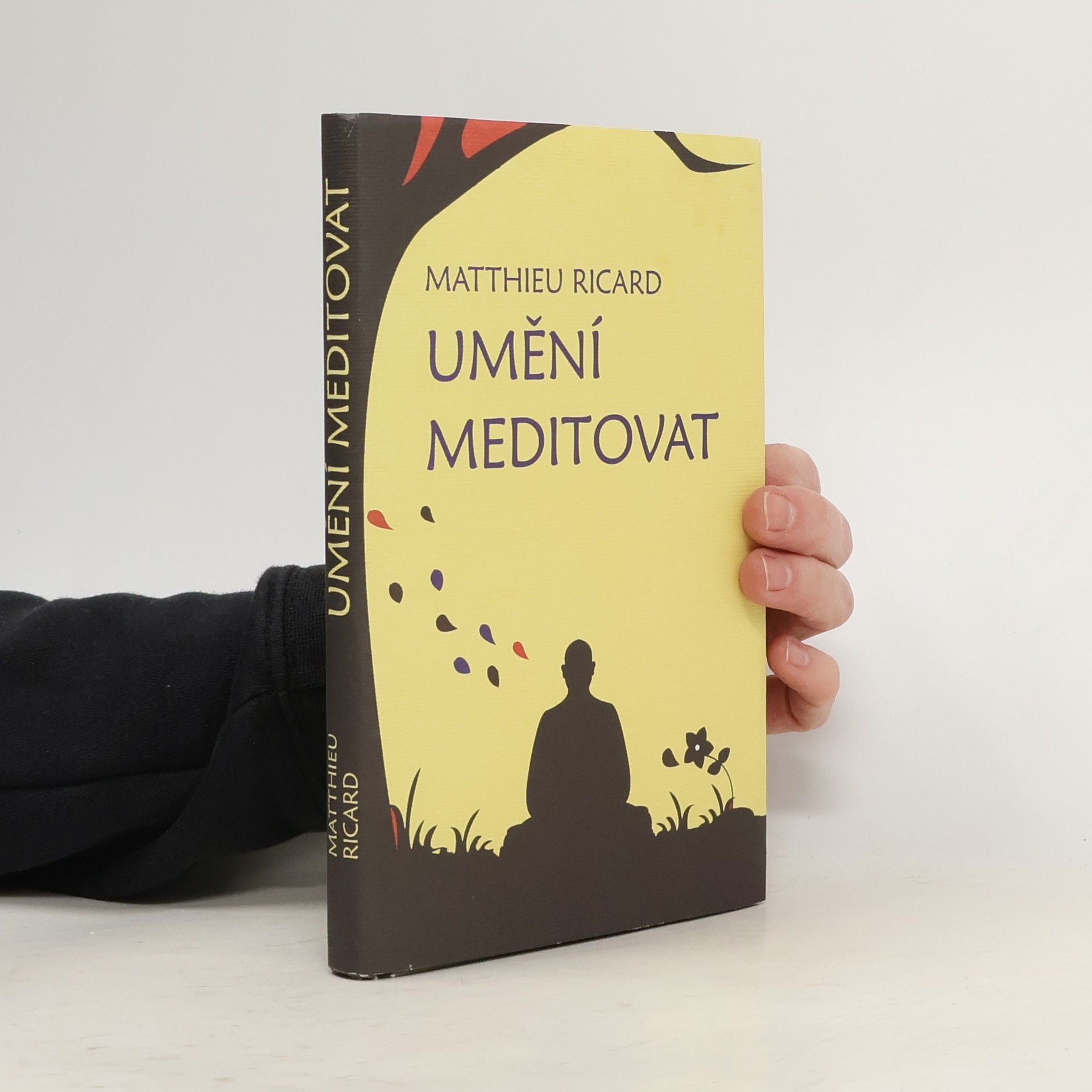 Matthieu Ricard Umění meditovat