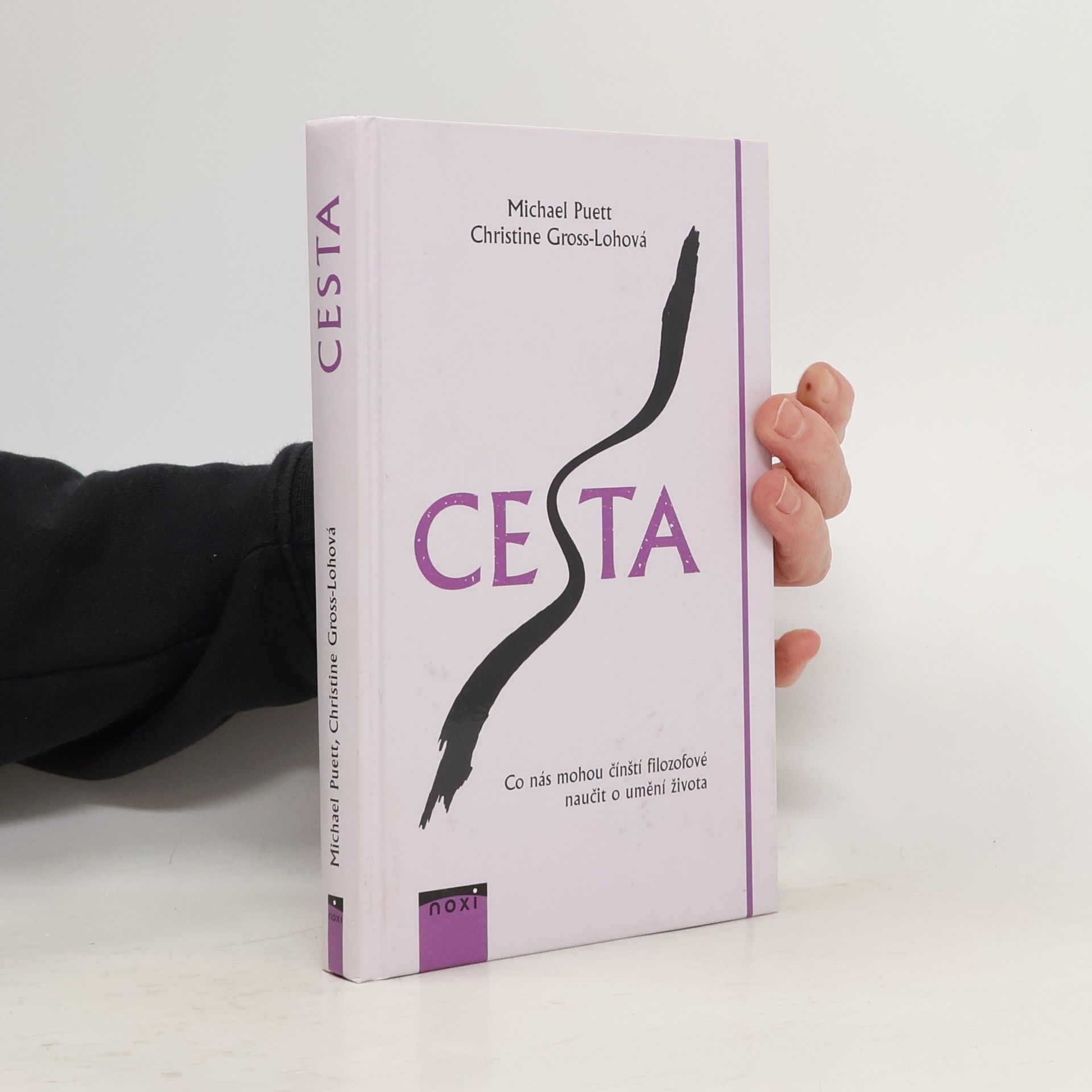 Michael Puett Cesta: Co nás mohou čínští filozofové naučit o umění života