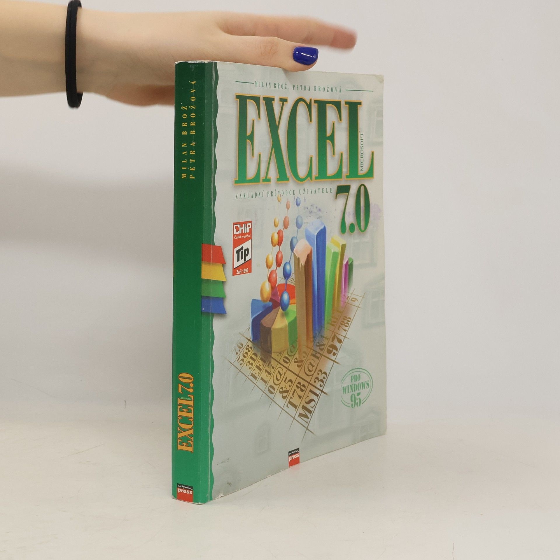 Brož Milan Excel 7.0 : Základní průvodce uživatele