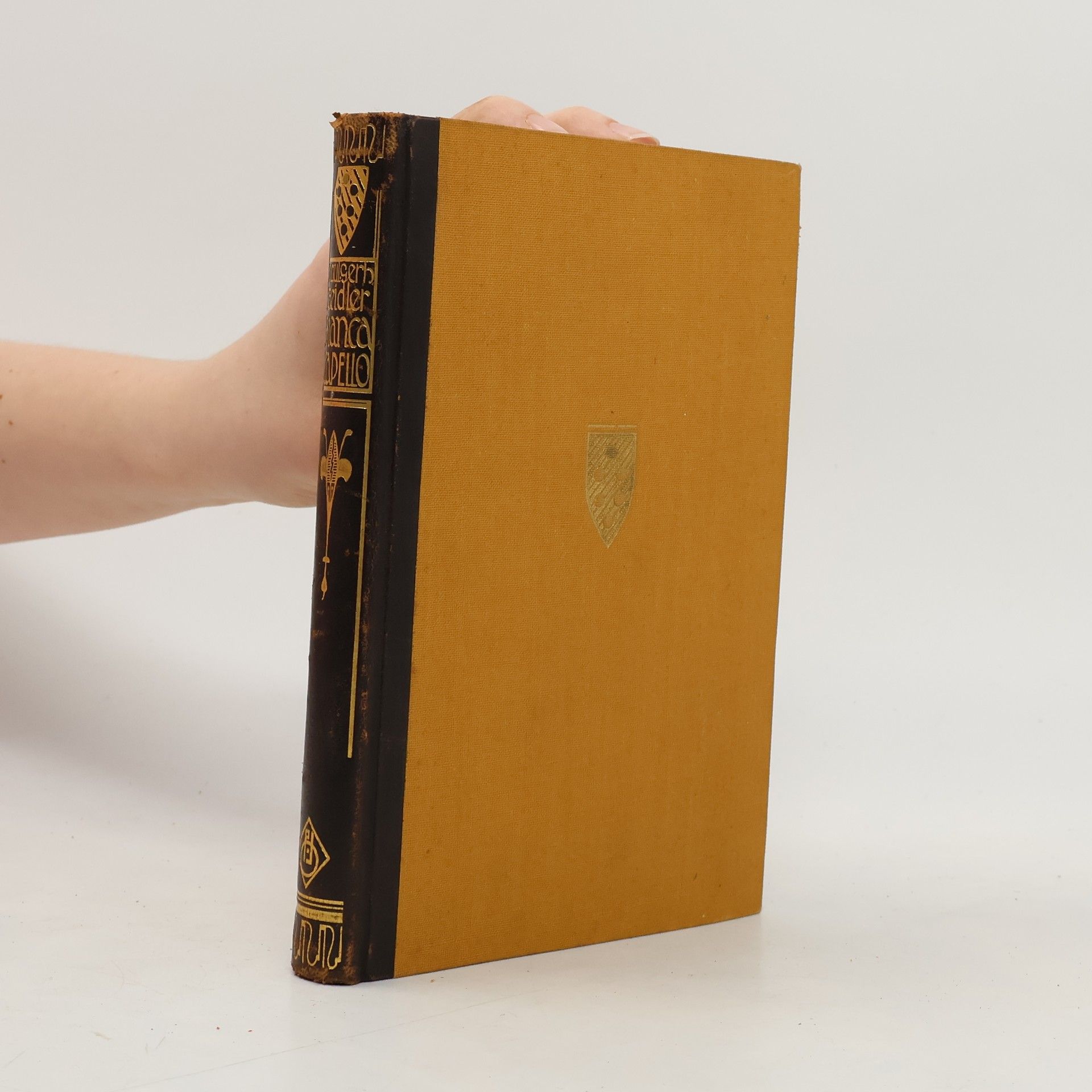 Paul Gerhard Zeidler Bianca Capello, die Zauberin von Venedig