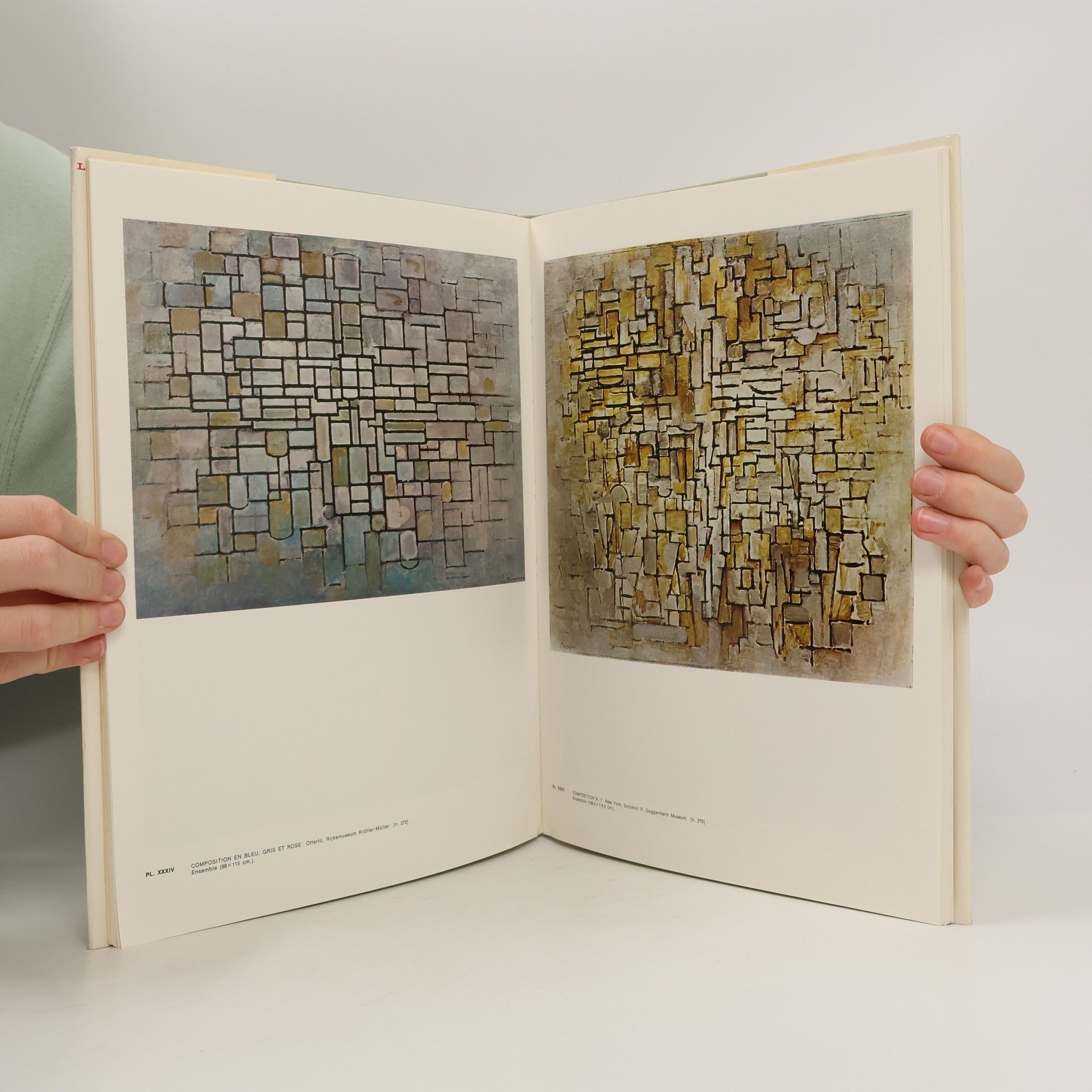 Piet Mondrian Tout l'œuvre peint de Mondrian