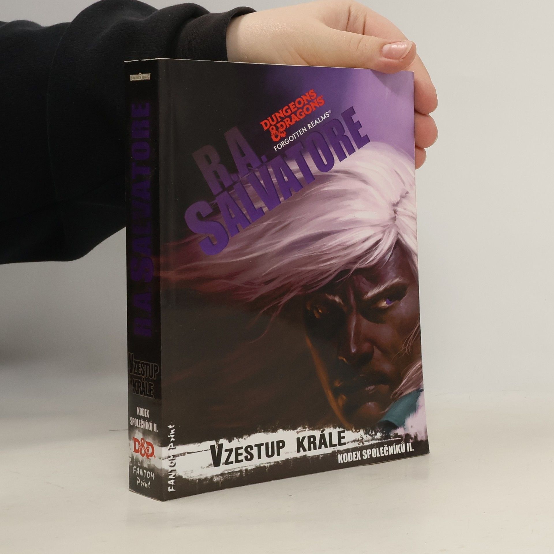 R. A. Salvatore Kodex společníků. II., Vzestup krále