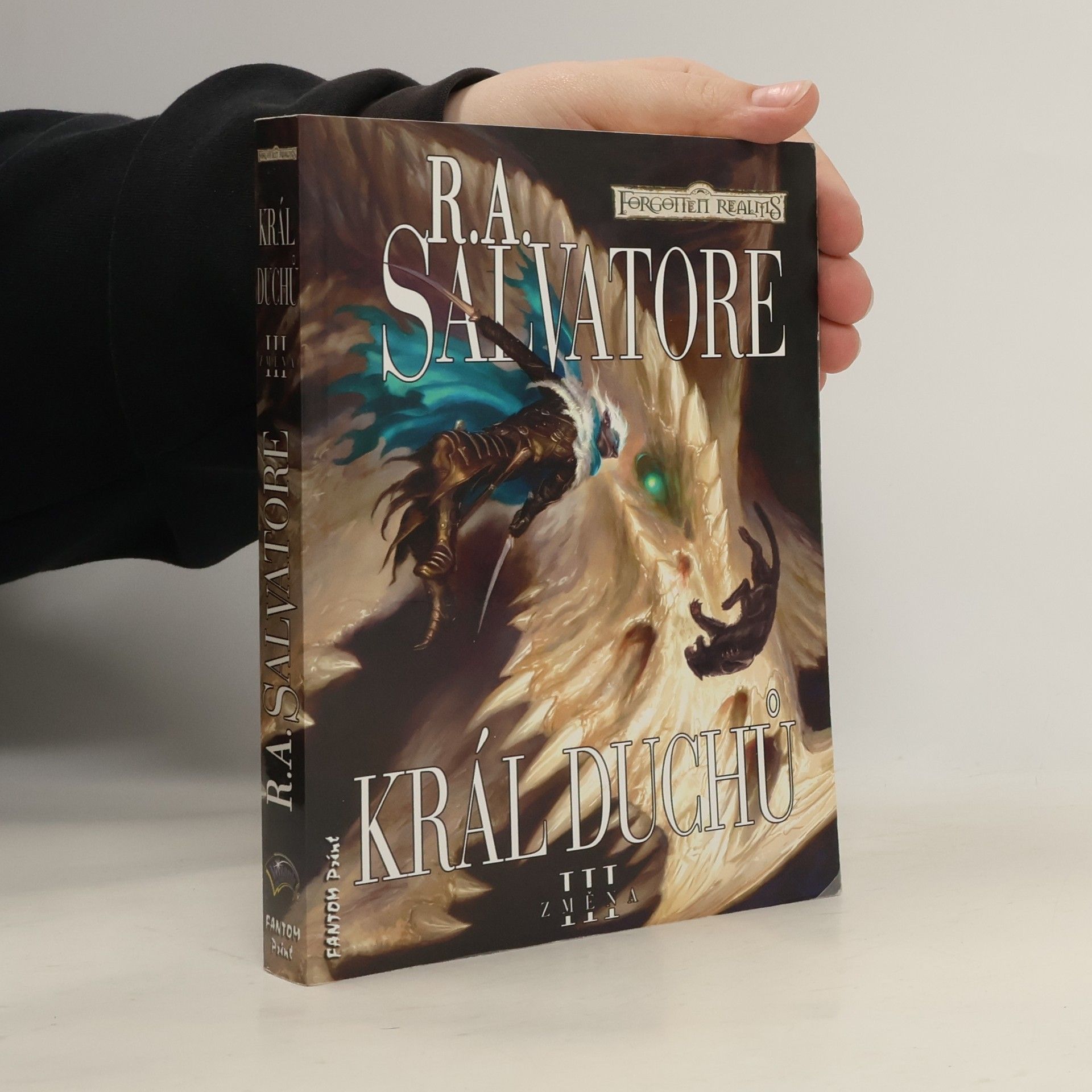 Robert Anthony Salvatore Král duchů