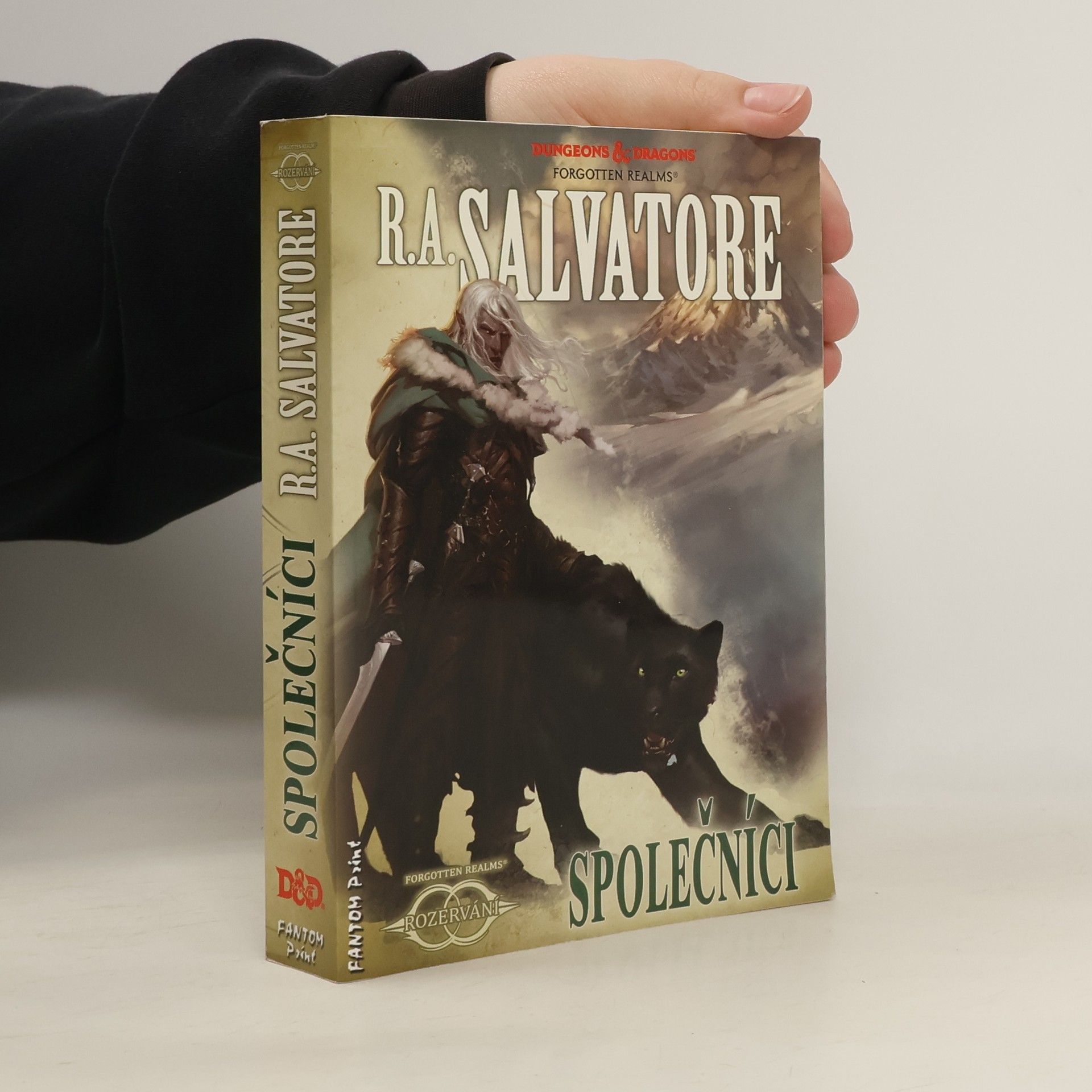 Robert Anthony Salvatore Rozervání. Společníci