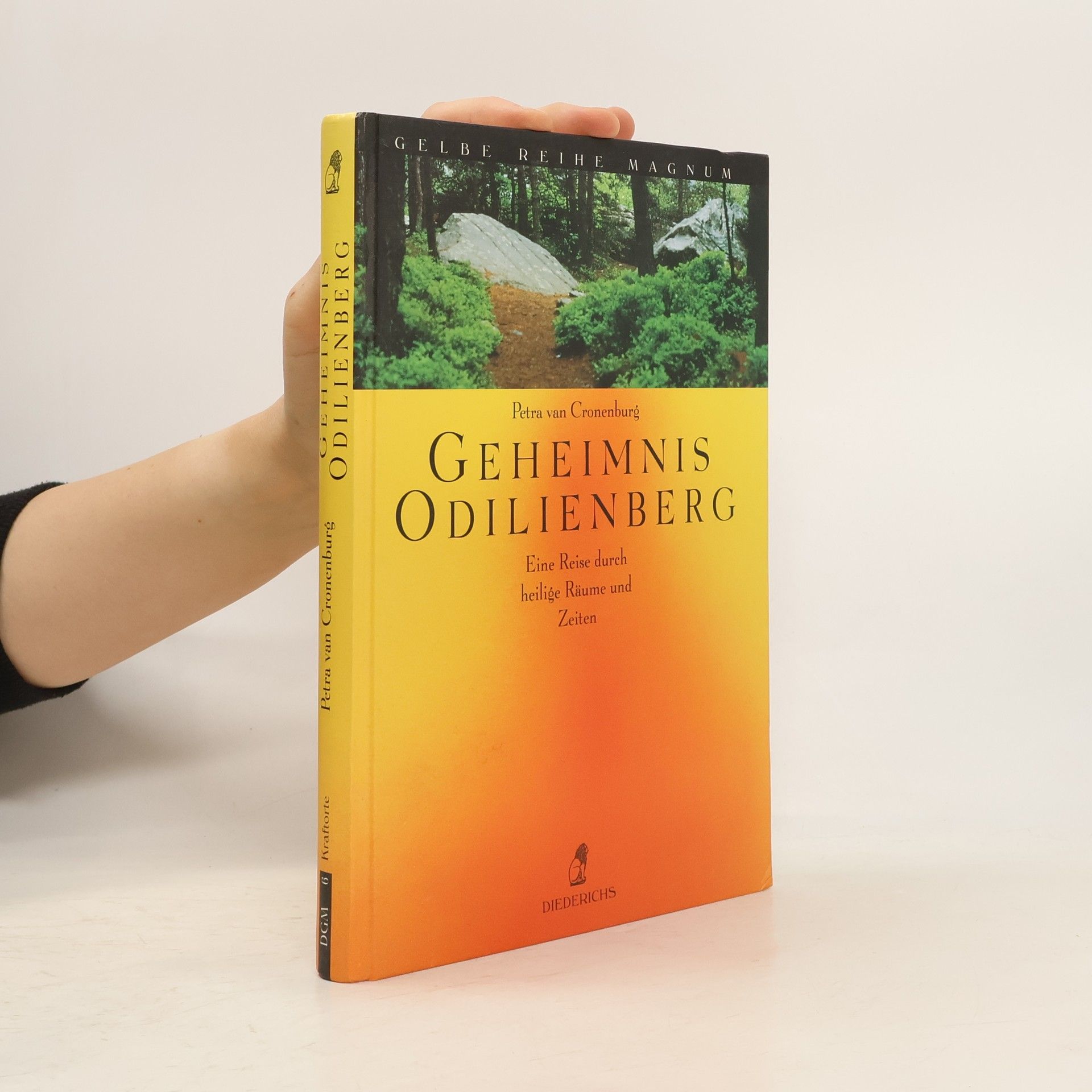 Petra van Cronenburg Geheimnis Odilienberg