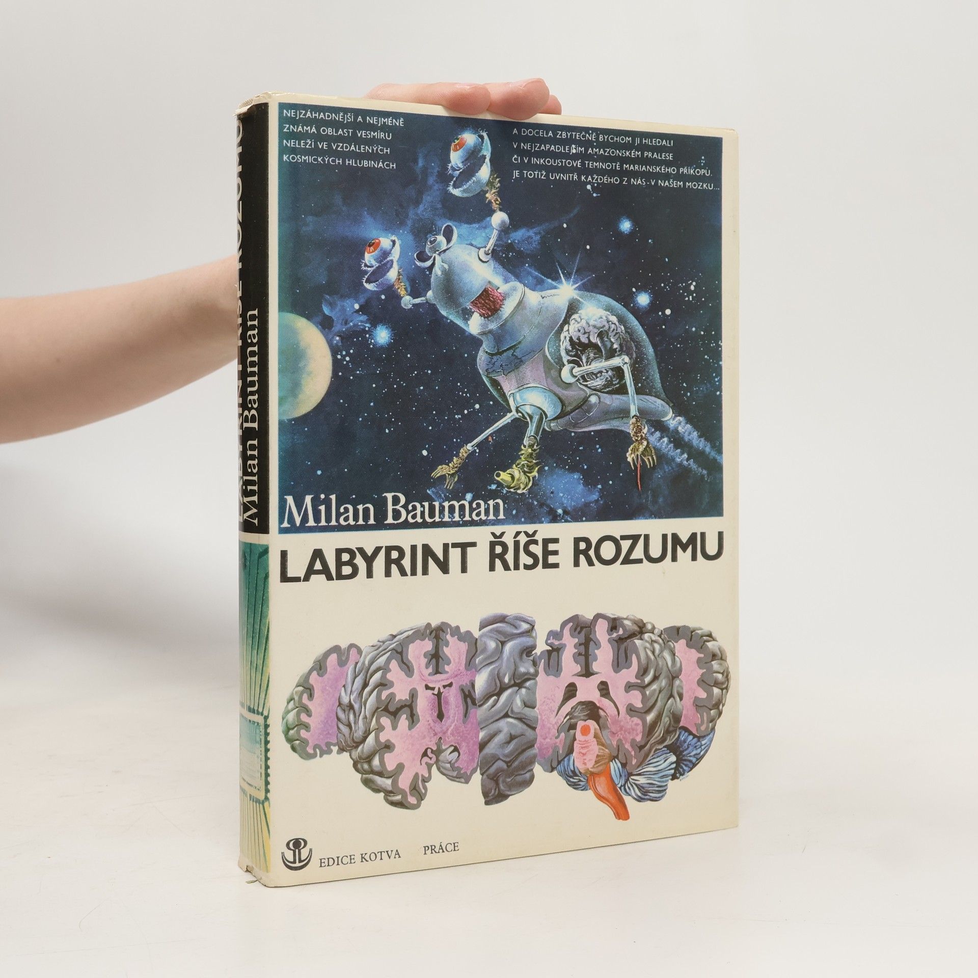 Milan Bauman Labyrint říše rozumu