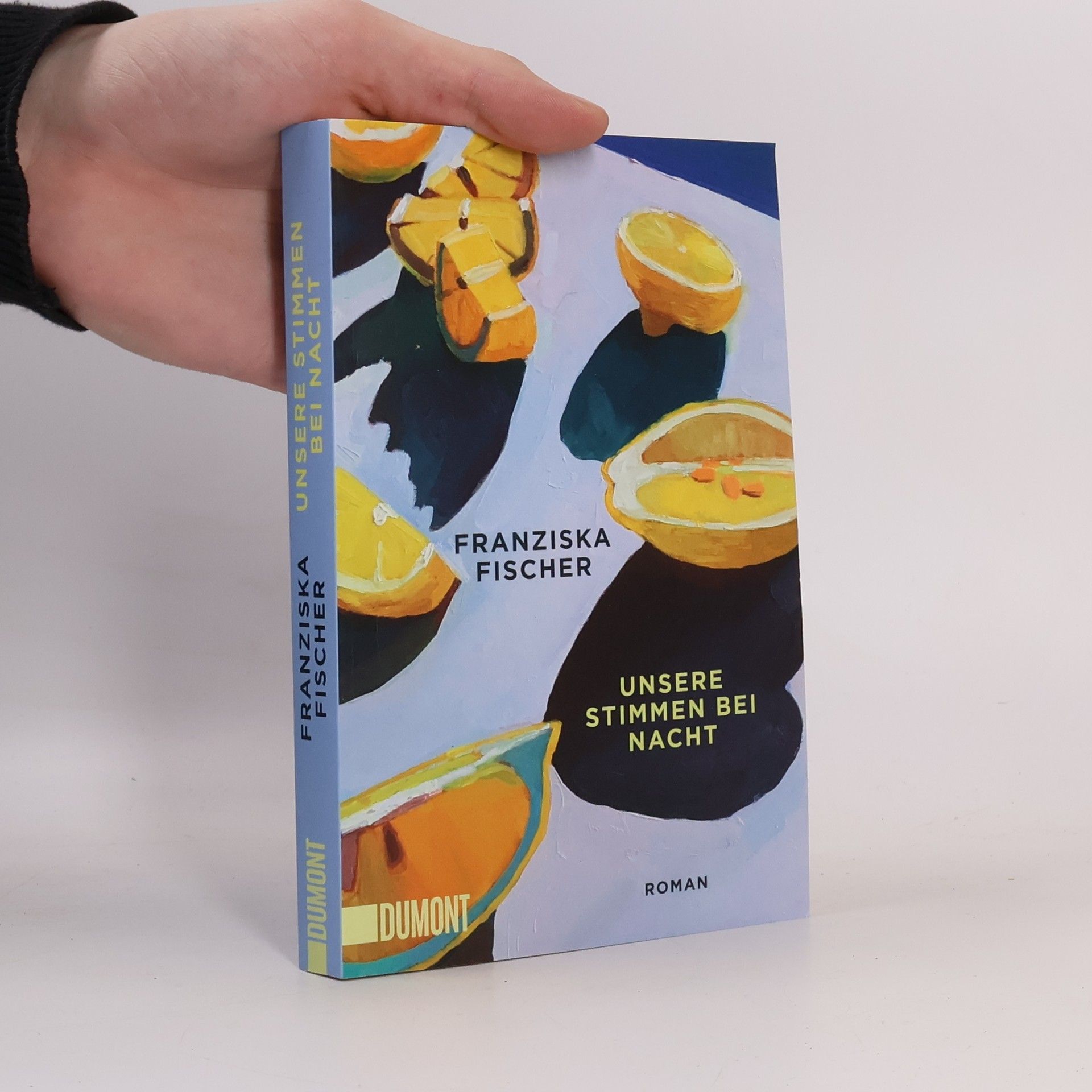 Franziska Fischer Unsere Stimmen bei Nacht