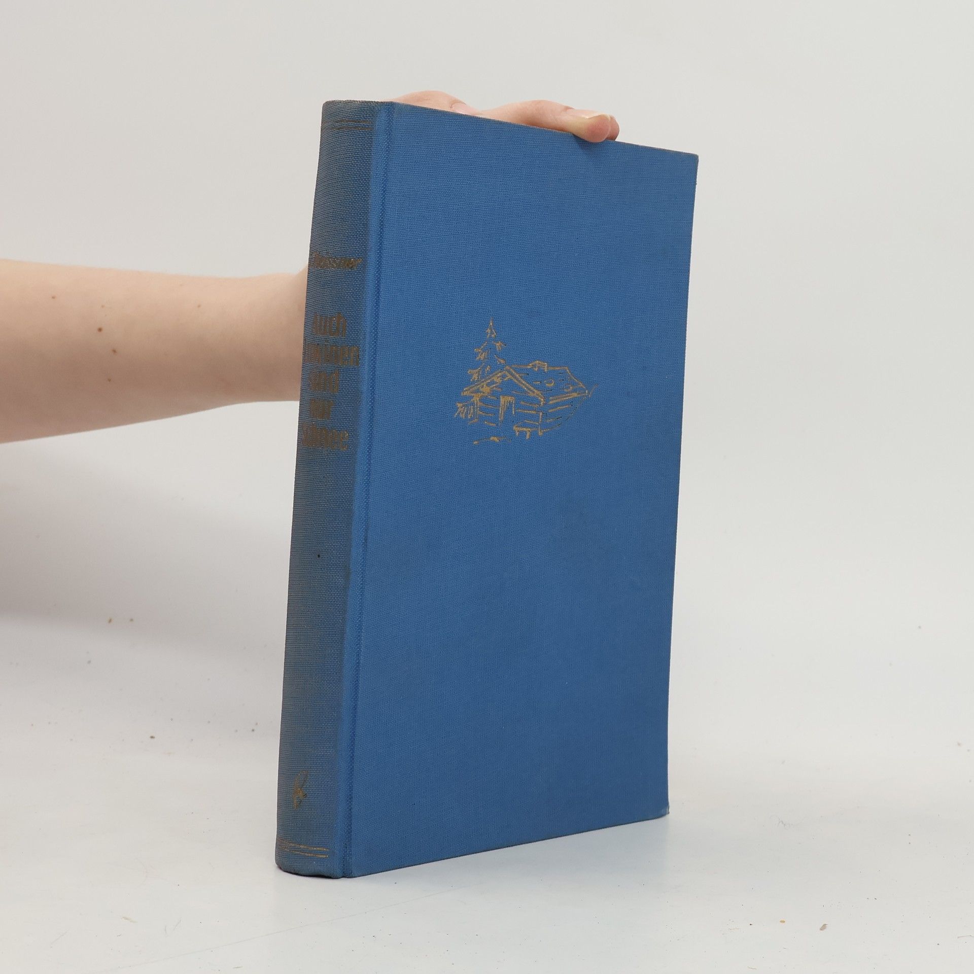 Hans-Otto Meissner Auch Lawinen sind nur Schnee