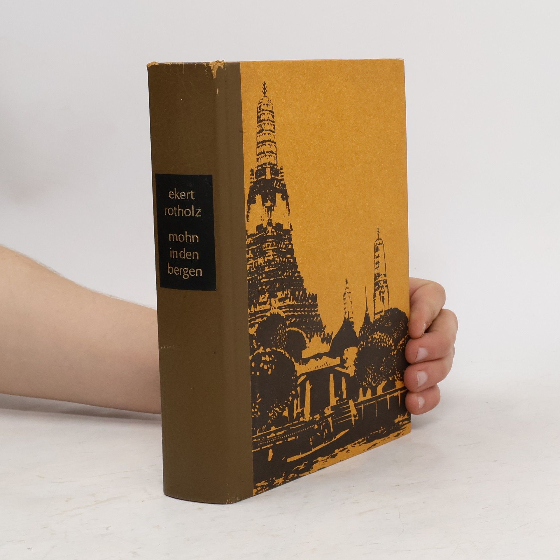 Alice Maria Ekert-Rotholz Mohn in den Bergen