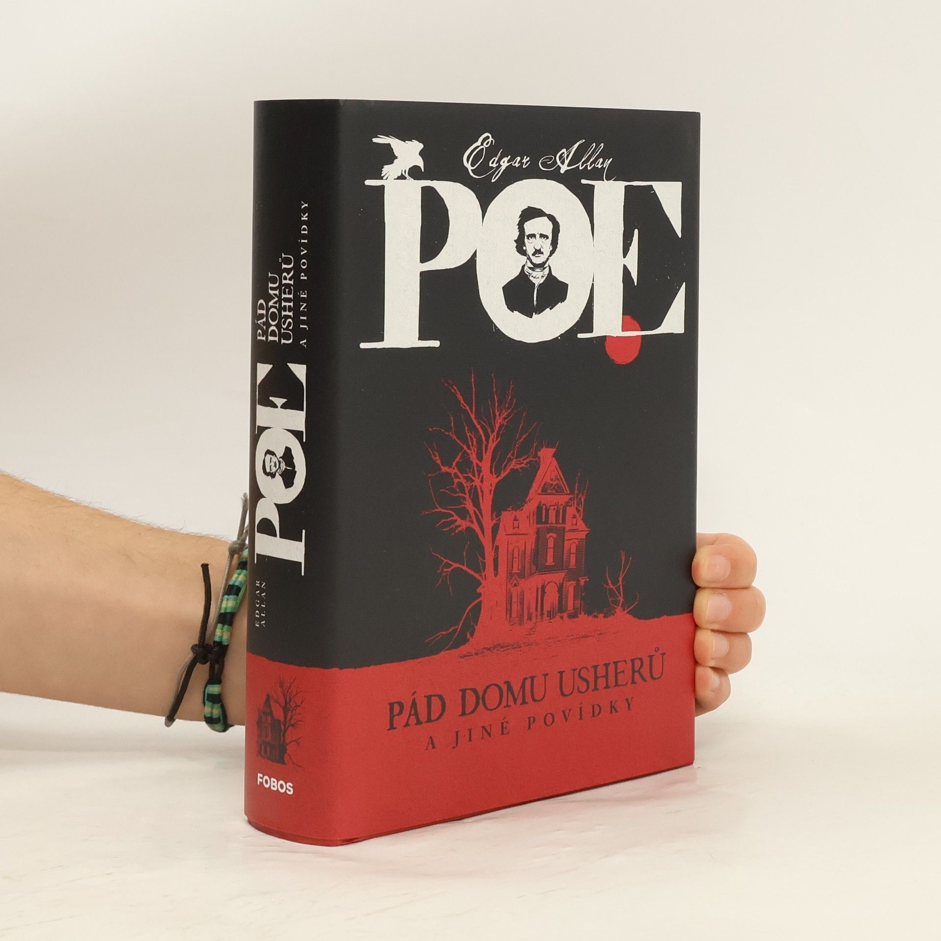 Edgar Allan Poe Pád Domu Usherů a jiné povídky