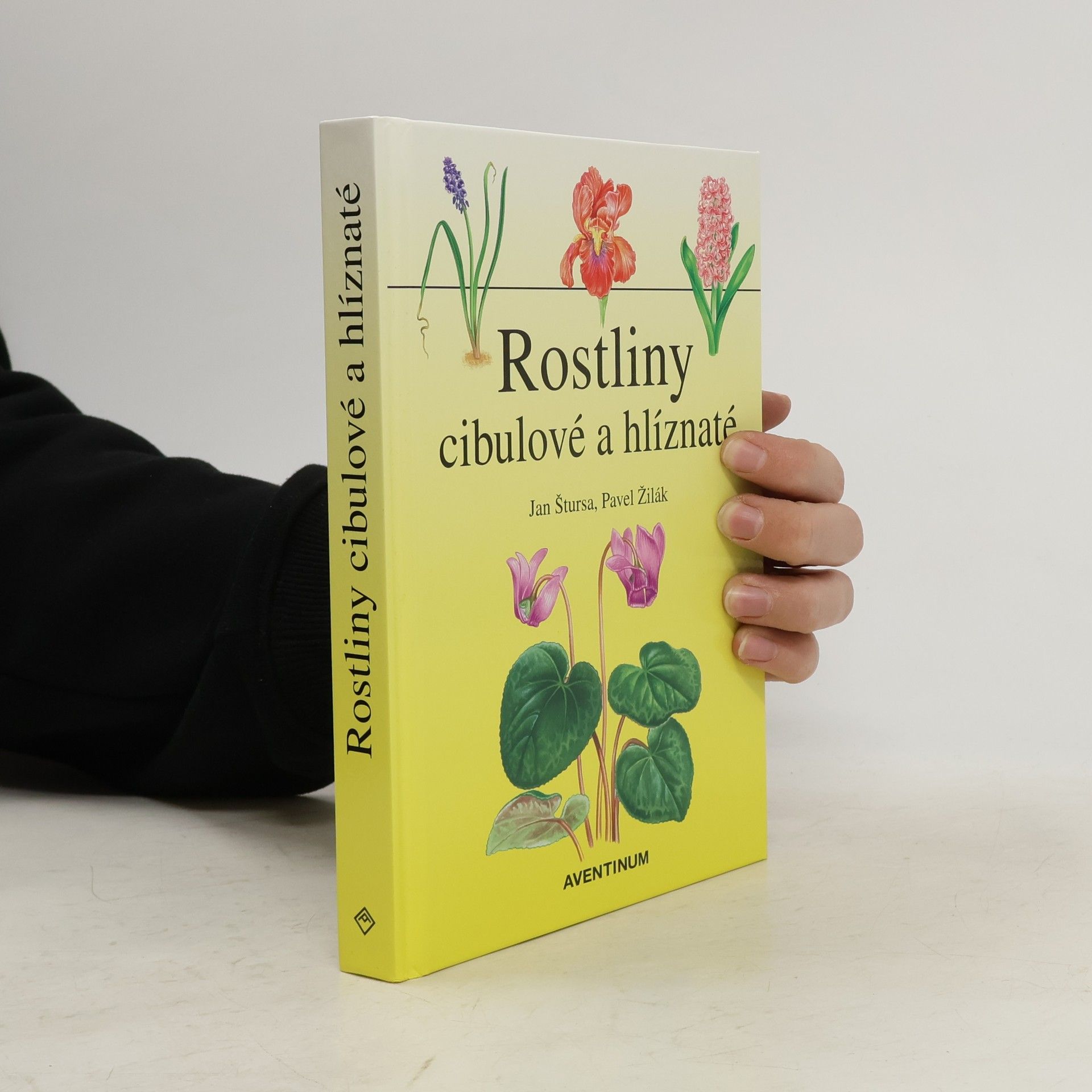 Jan Štursa Rostliny cibulové a hlíznaté