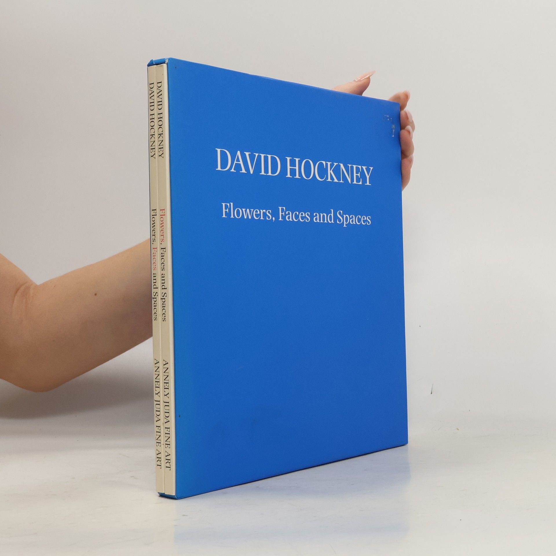 David Hockney David Hockney - Flowers, Faces and Spaces