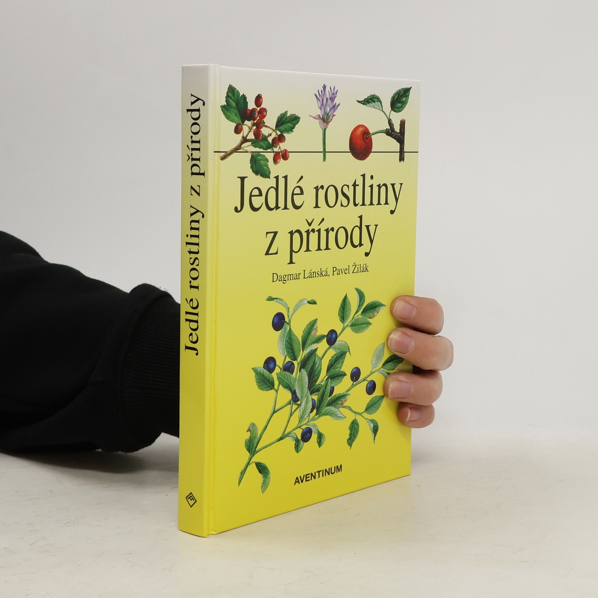 Dagmar Lánská Jedlé rostliny z přírody