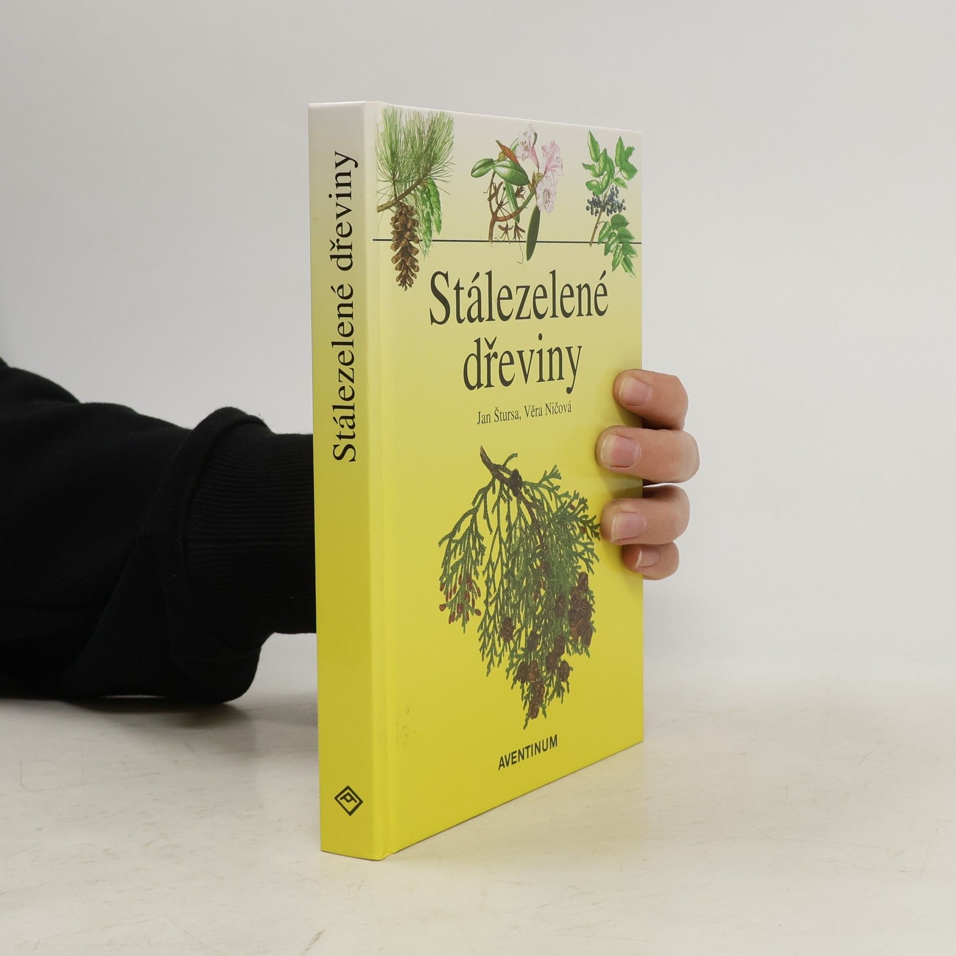 Jan Štursa Stálezelené dřeviny