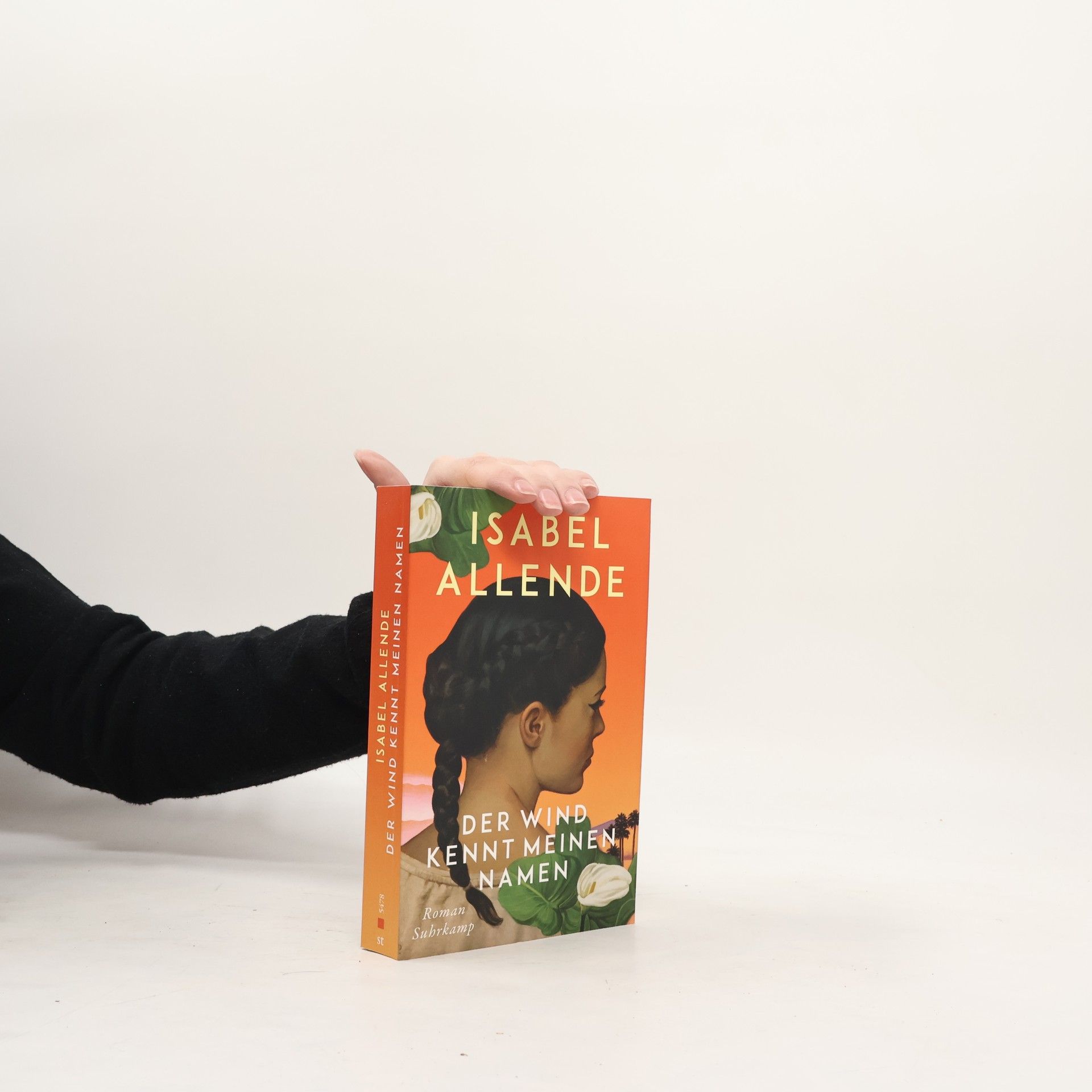 Isabel Allende Der Wind kennt meinen Namen