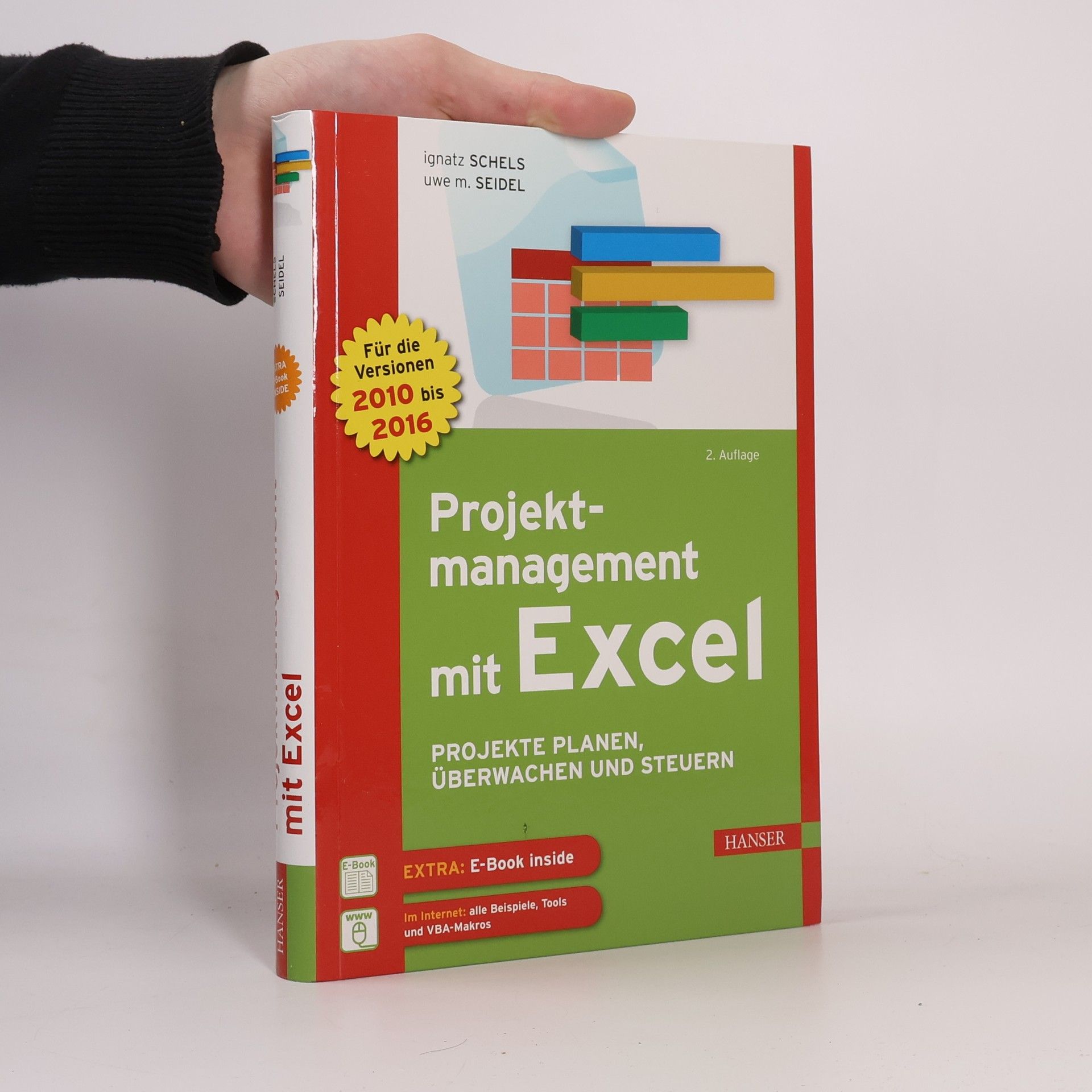 Ignatz Schels Projektmanagement mit Excel