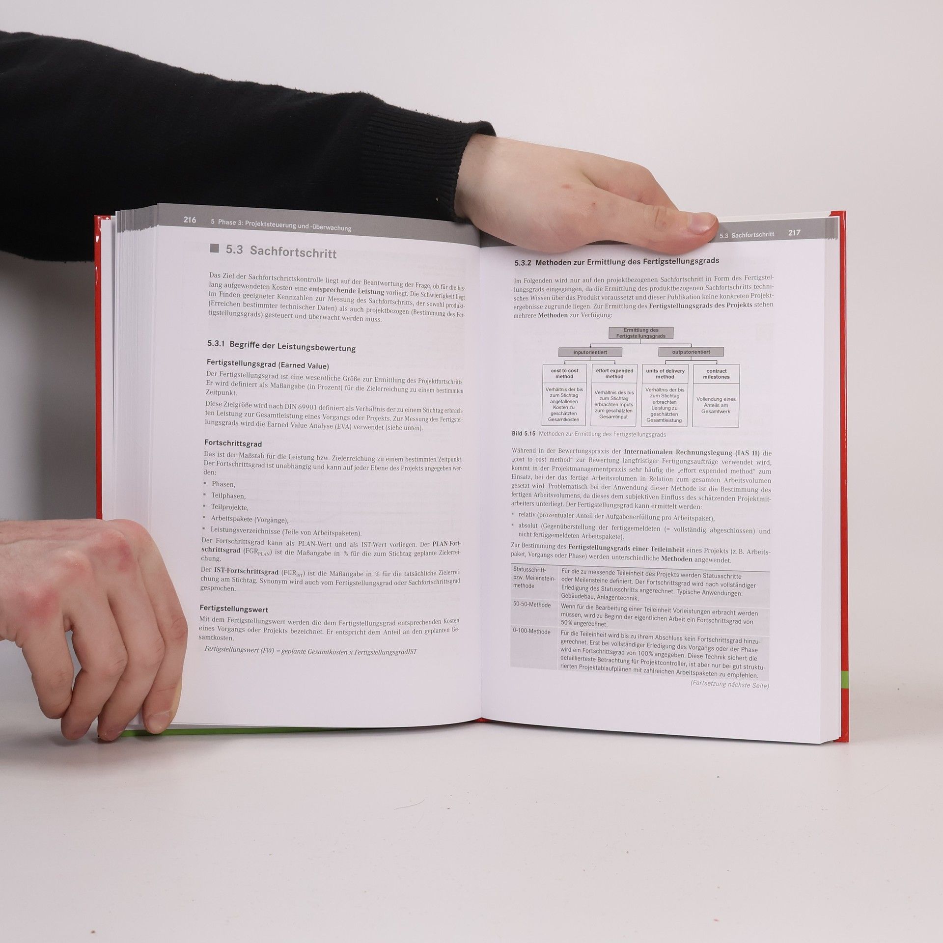 Ignatz Schels Projektmanagement mit Excel