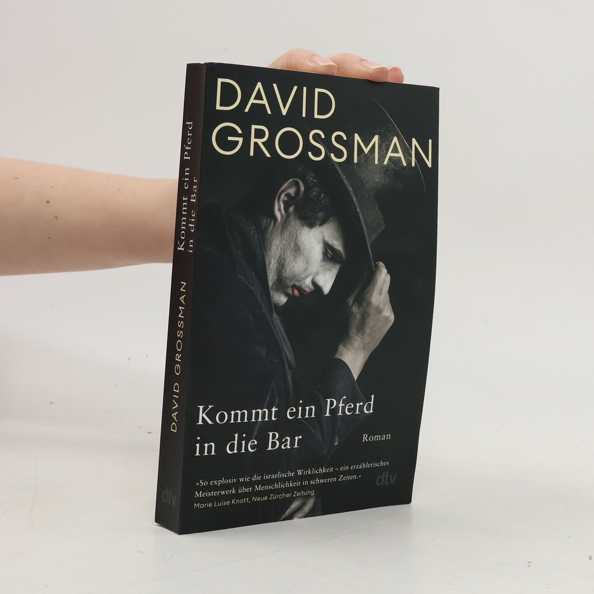 David Grossman Kommt ein Pferd in die Bar