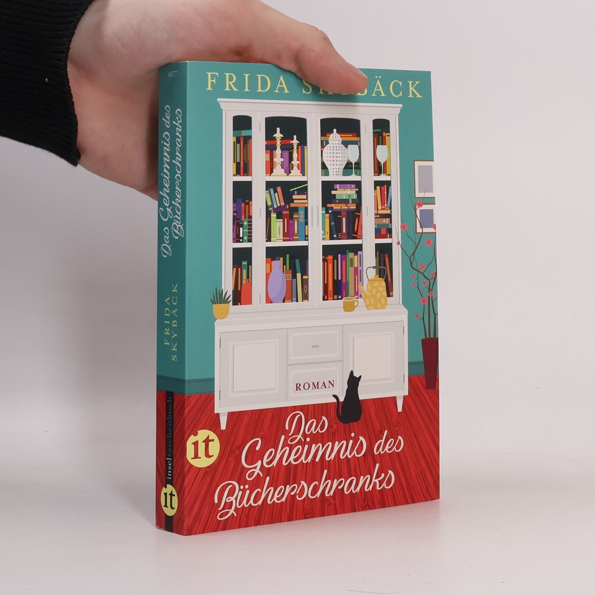 Frida Skybäck Das Geheimnis des Bücherschranks