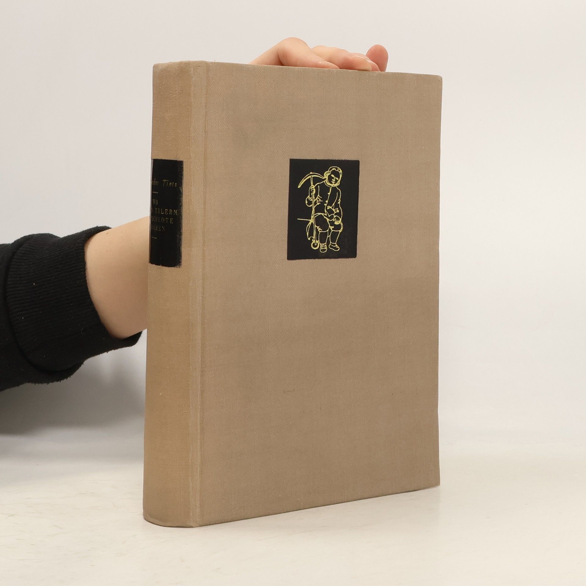 Alexander Tietz Wo in den Tälern die Schlote rauchen