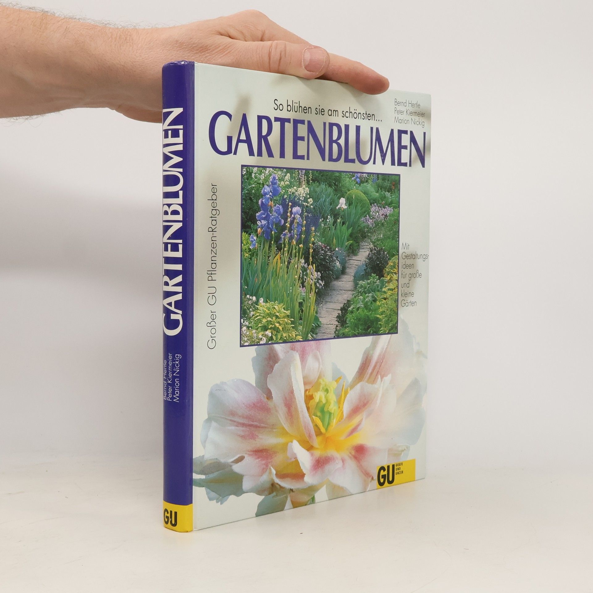 Bernd Hertle Gartenblumen