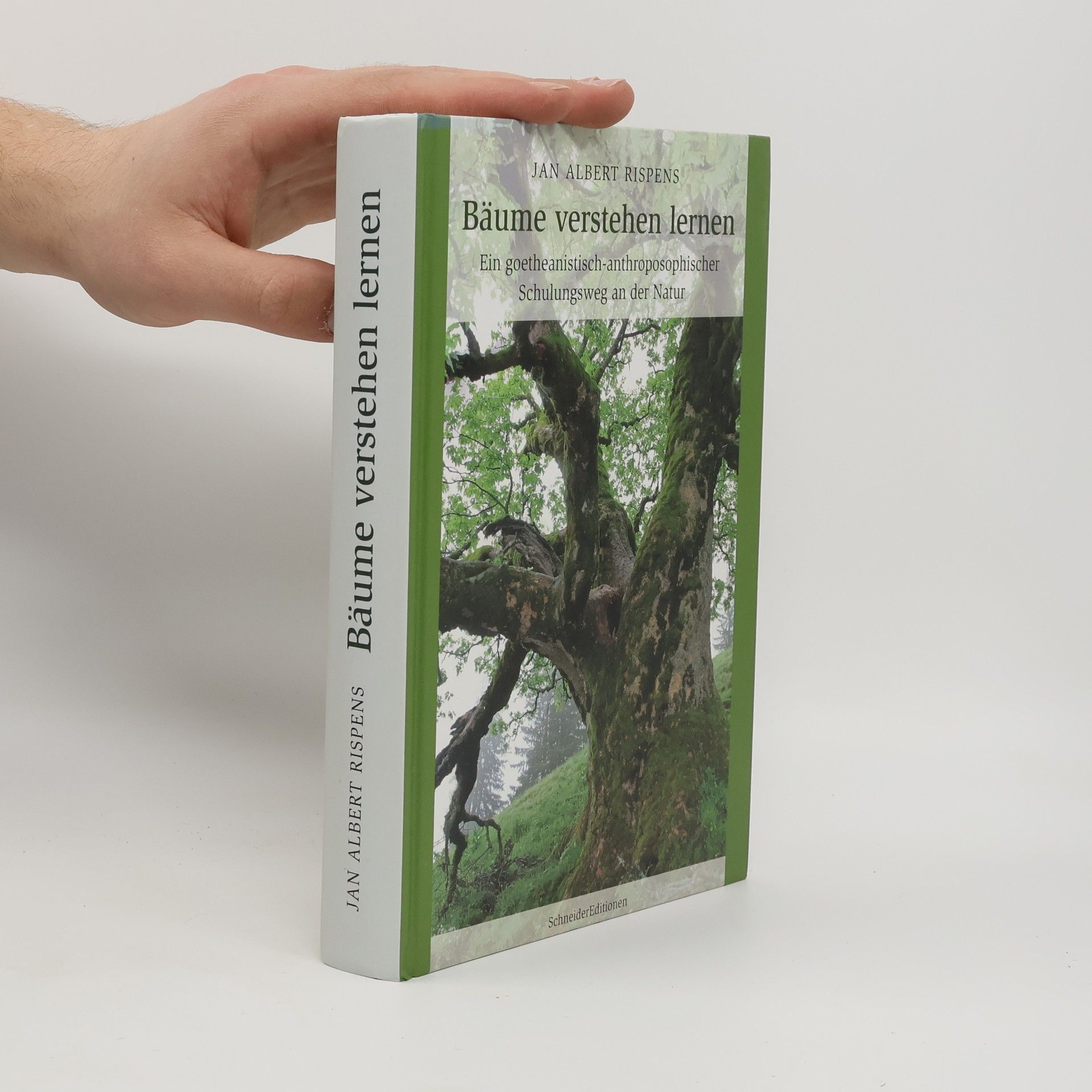Jan Albert Rispens Bäume verstehen lernen