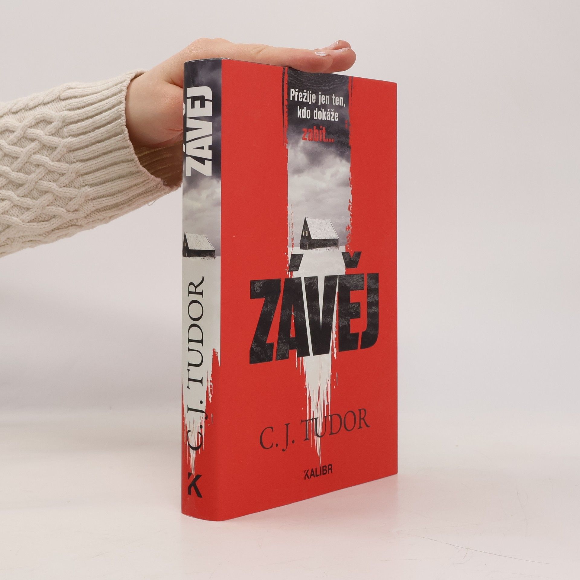 Jana Kunová Závěj