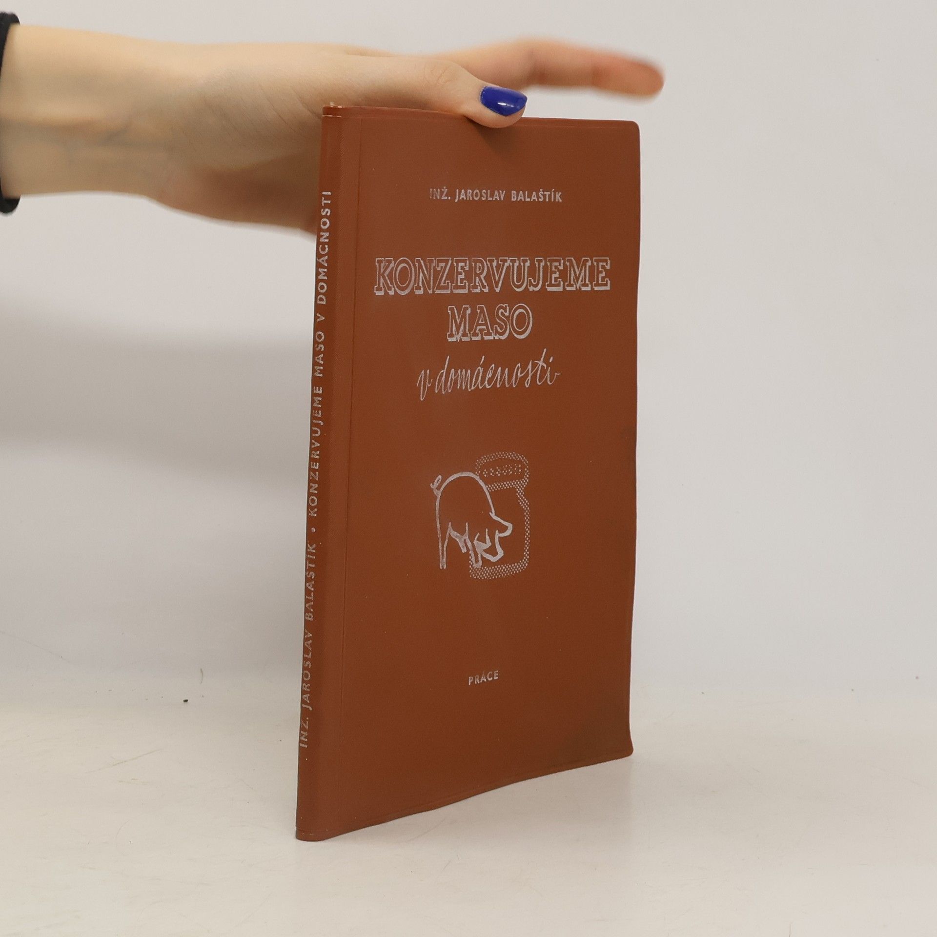 Jaroslav Balaštík Konzervujeme maso v domácnosti