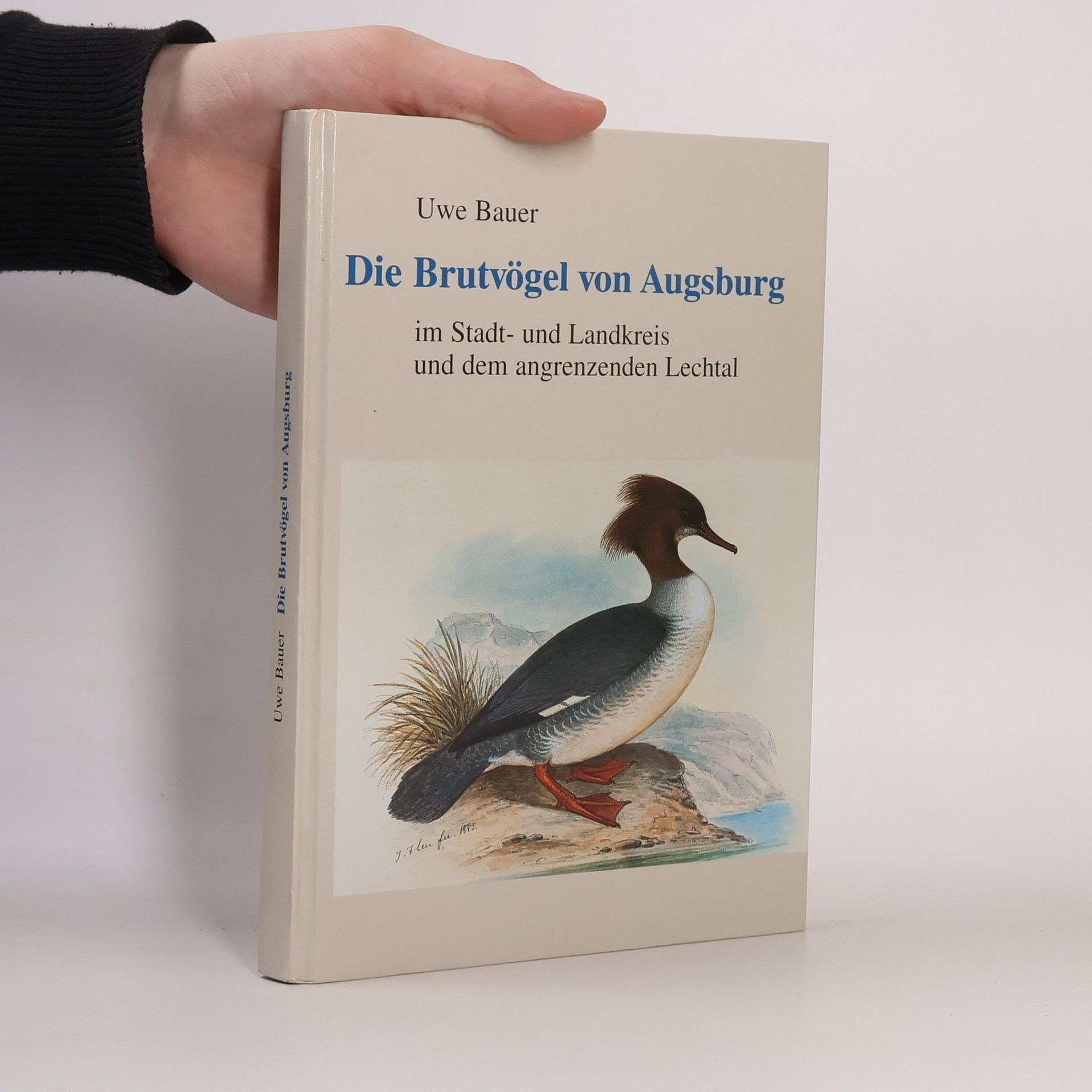 Kai-Uwe Bauer Die Brutvögel von Augsburg