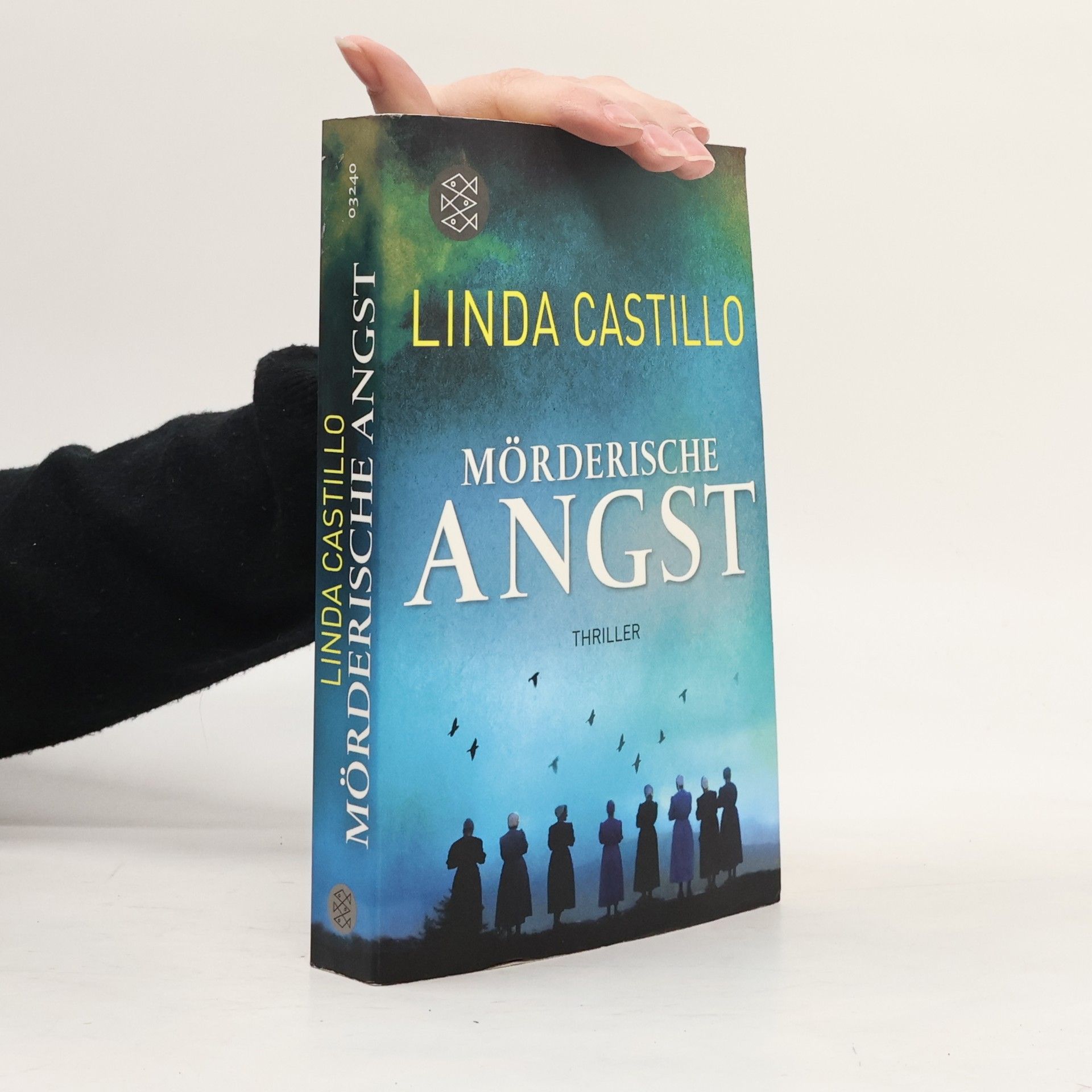 Linda Castillo Mörderische Angst