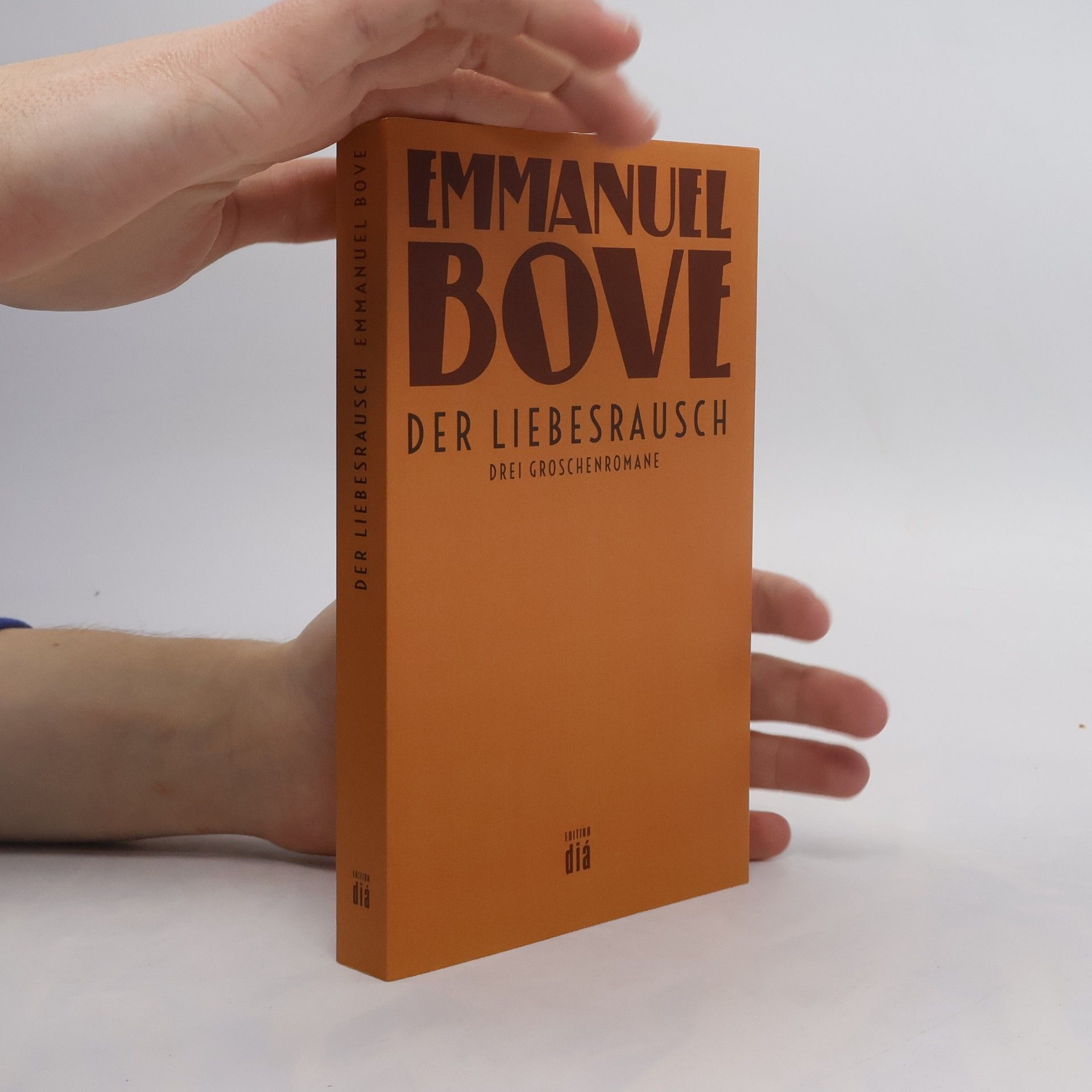 Emmanuel Bove Der Liebesrausch