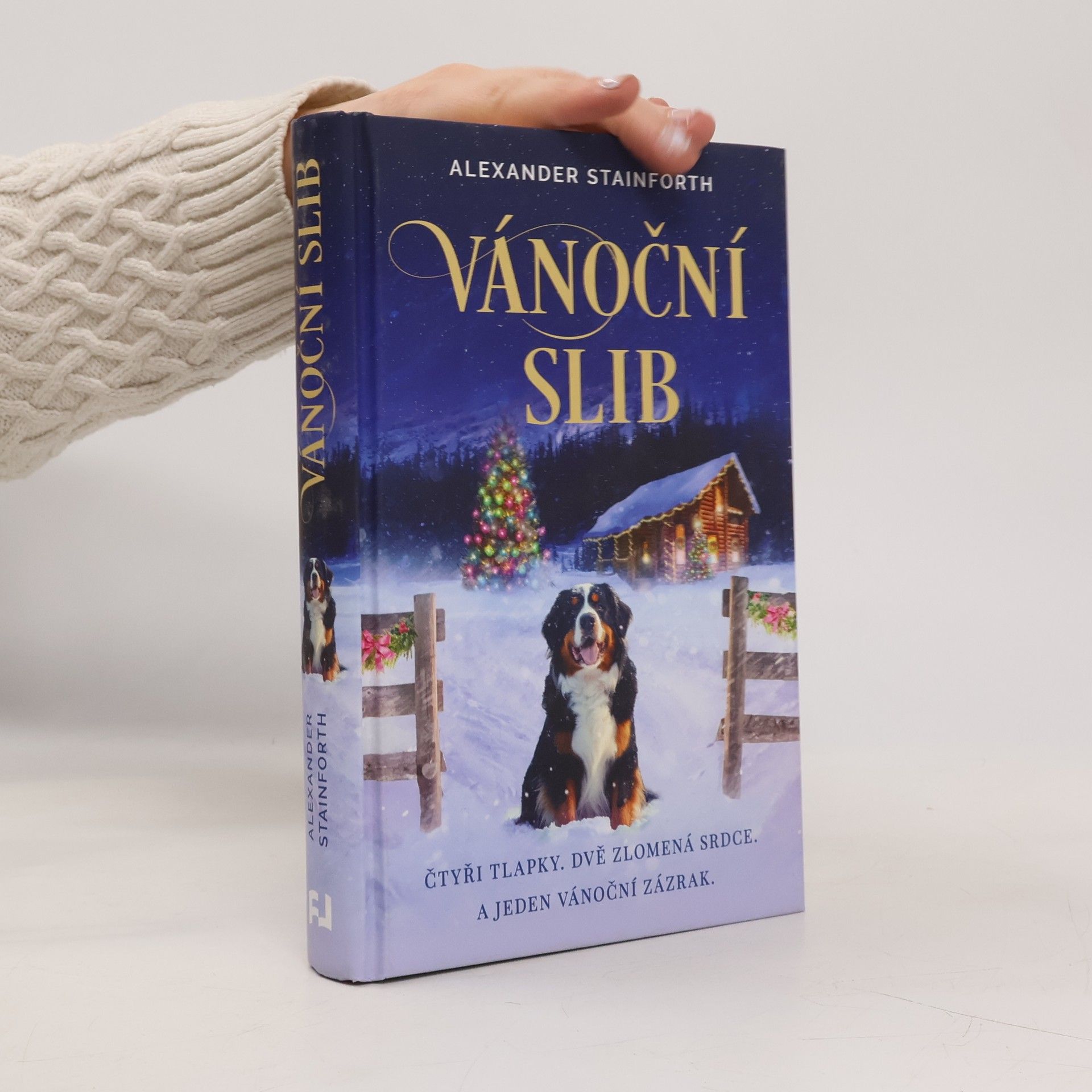 Alexander Stainforth Vánoční slib